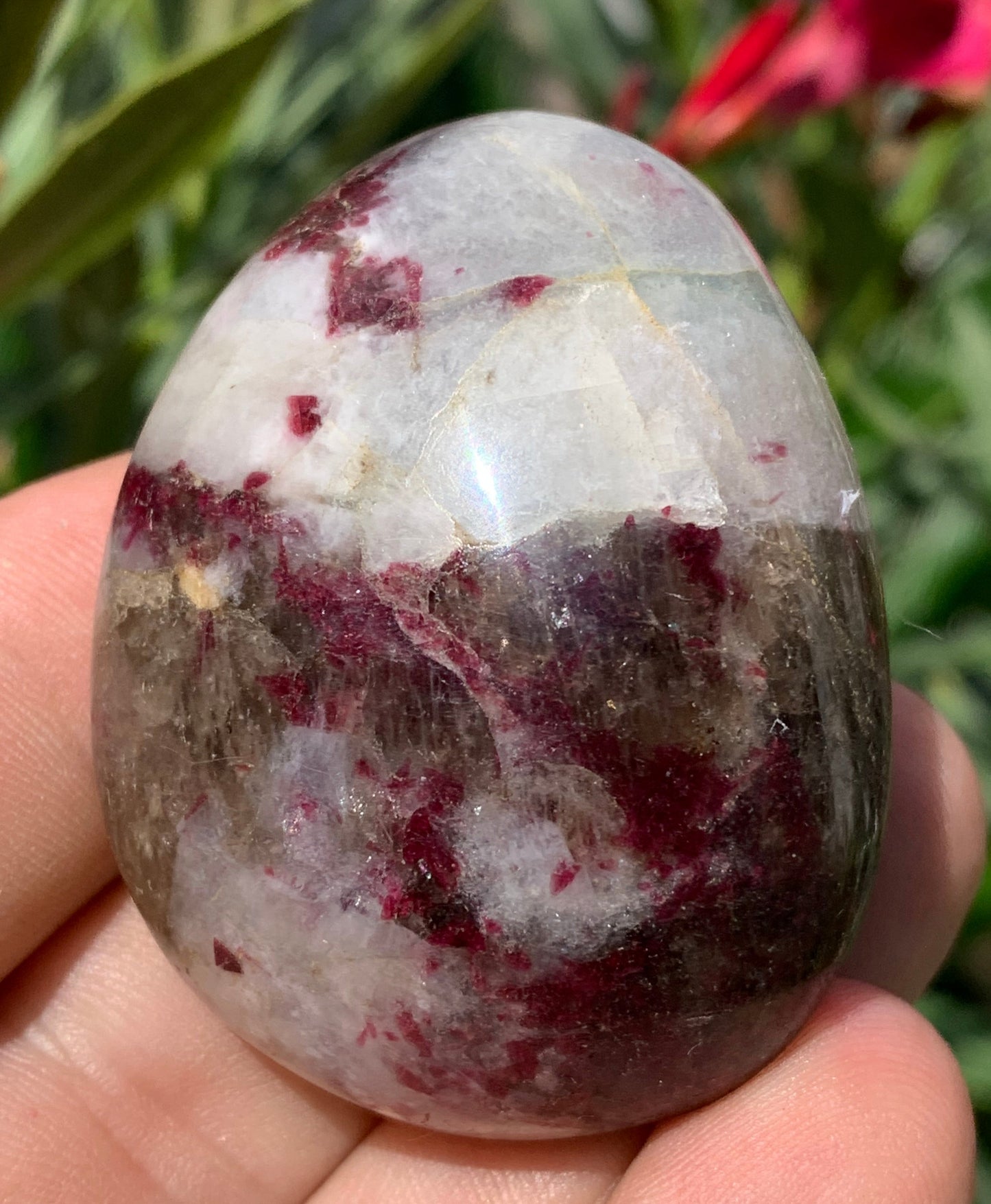 Tourmaline Rubellite, galet de 51 x 40 x 25 mm - 68,4 grammes. Une très belle et unique pièce !