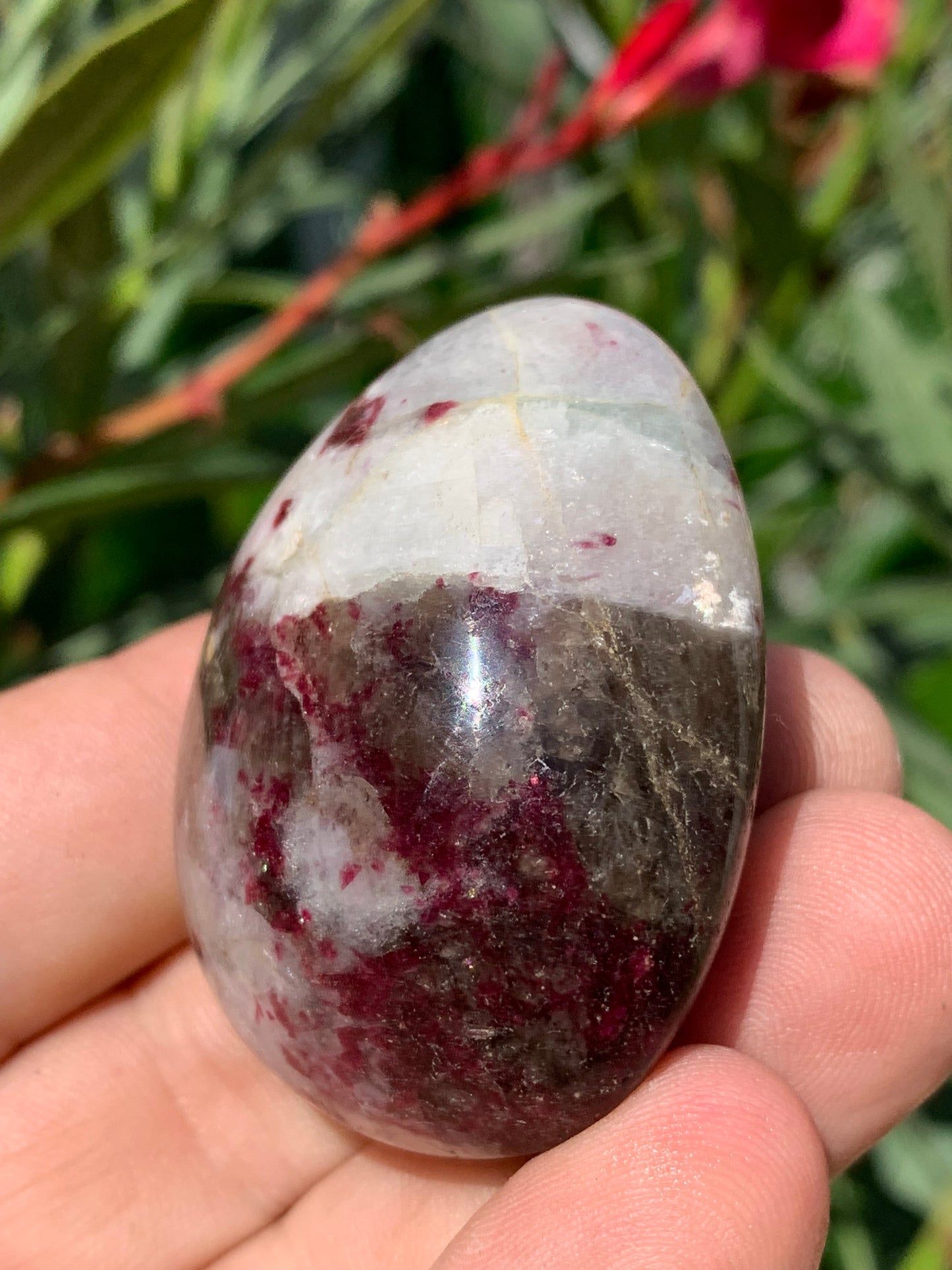 Tourmaline Rubellite, galet de 51 x 40 x 25 mm - 68,4 grammes. Une très belle et unique pièce !