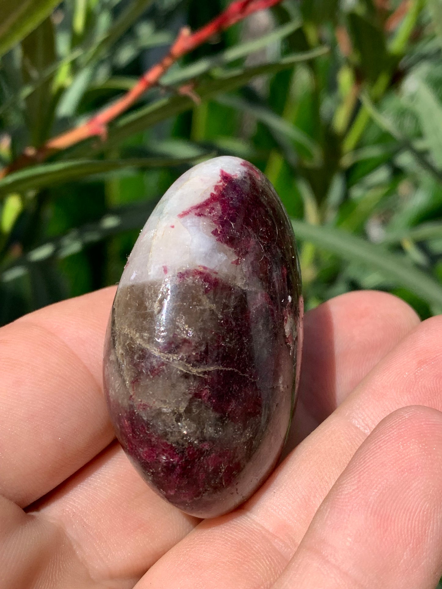 Tourmaline Rubellite, galet de 51 x 40 x 25 mm - 68,4 grammes. Une très belle et unique pièce !