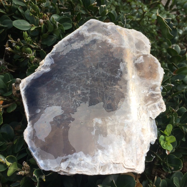 Mica noir ou Biotite - Tranche naturelle de 120 grammes - de 130 x 100 x 9mm ! Superbe et pièce rare !