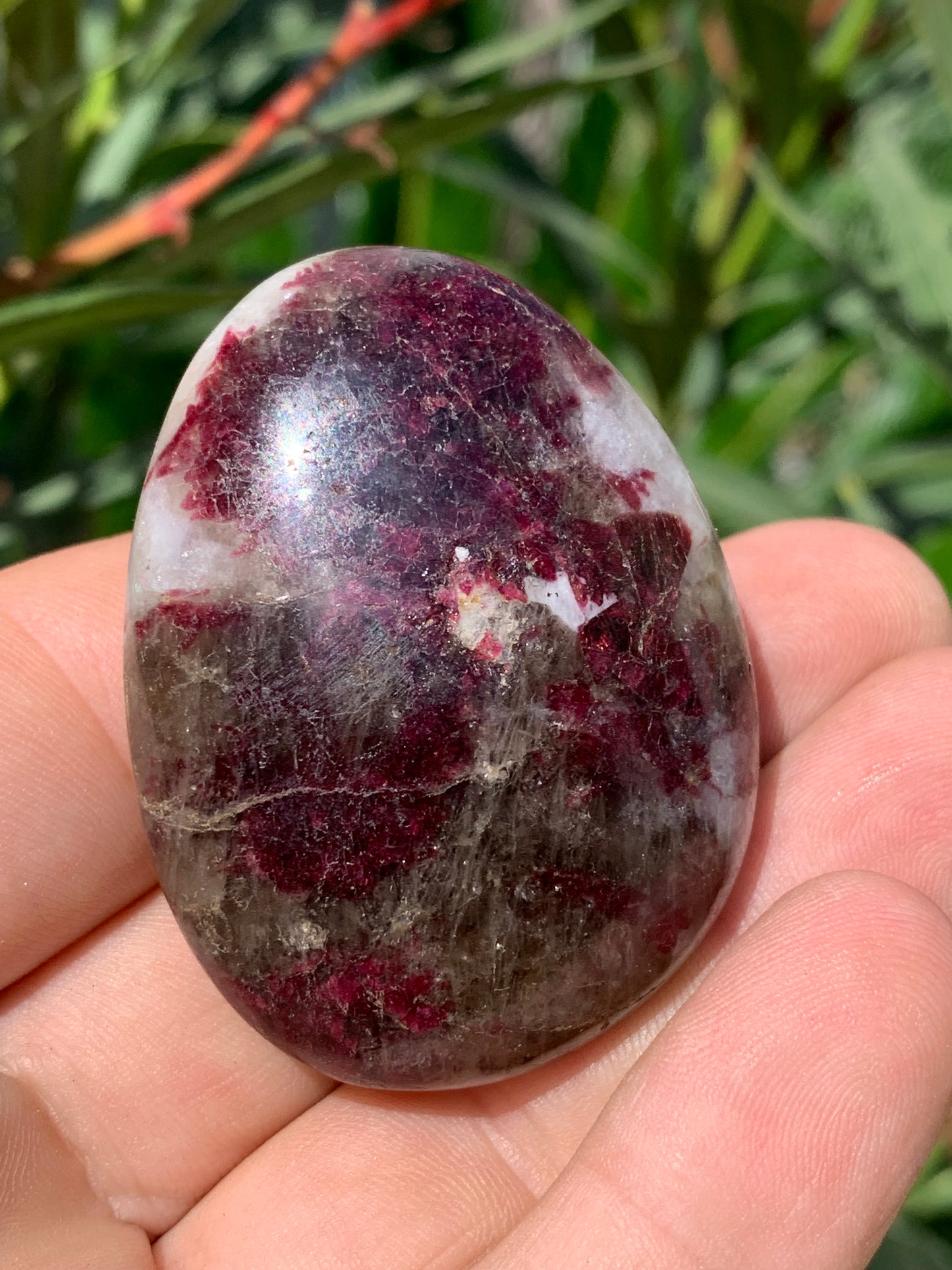 Tourmaline Rubellite, galet de 51 x 40 x 25 mm - 68,4 grammes. Une très belle et unique pièce !