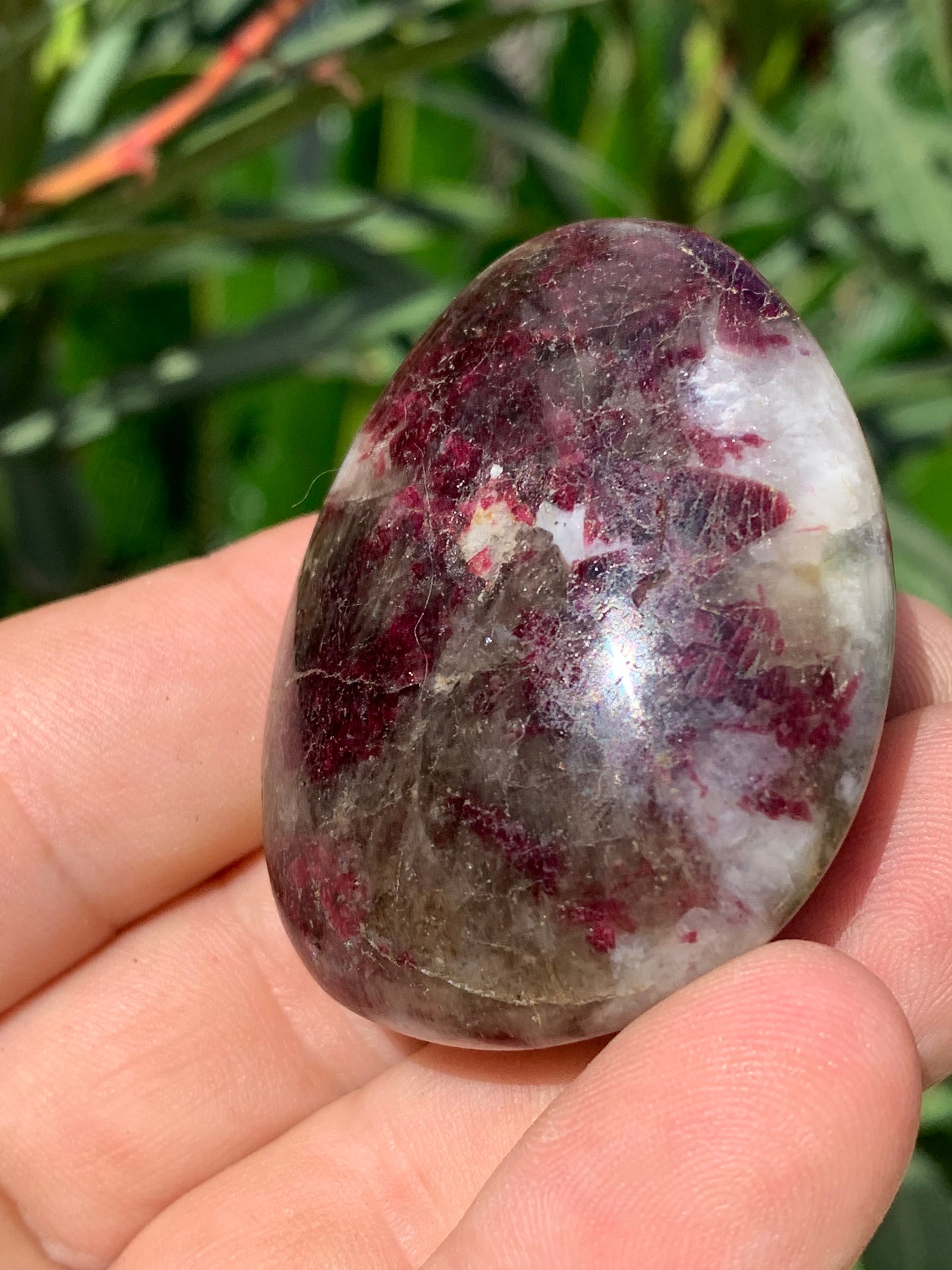 Tourmaline Rubellite, galet de 51 x 40 x 25 mm - 68,4 grammes. Une très belle et unique pièce !
