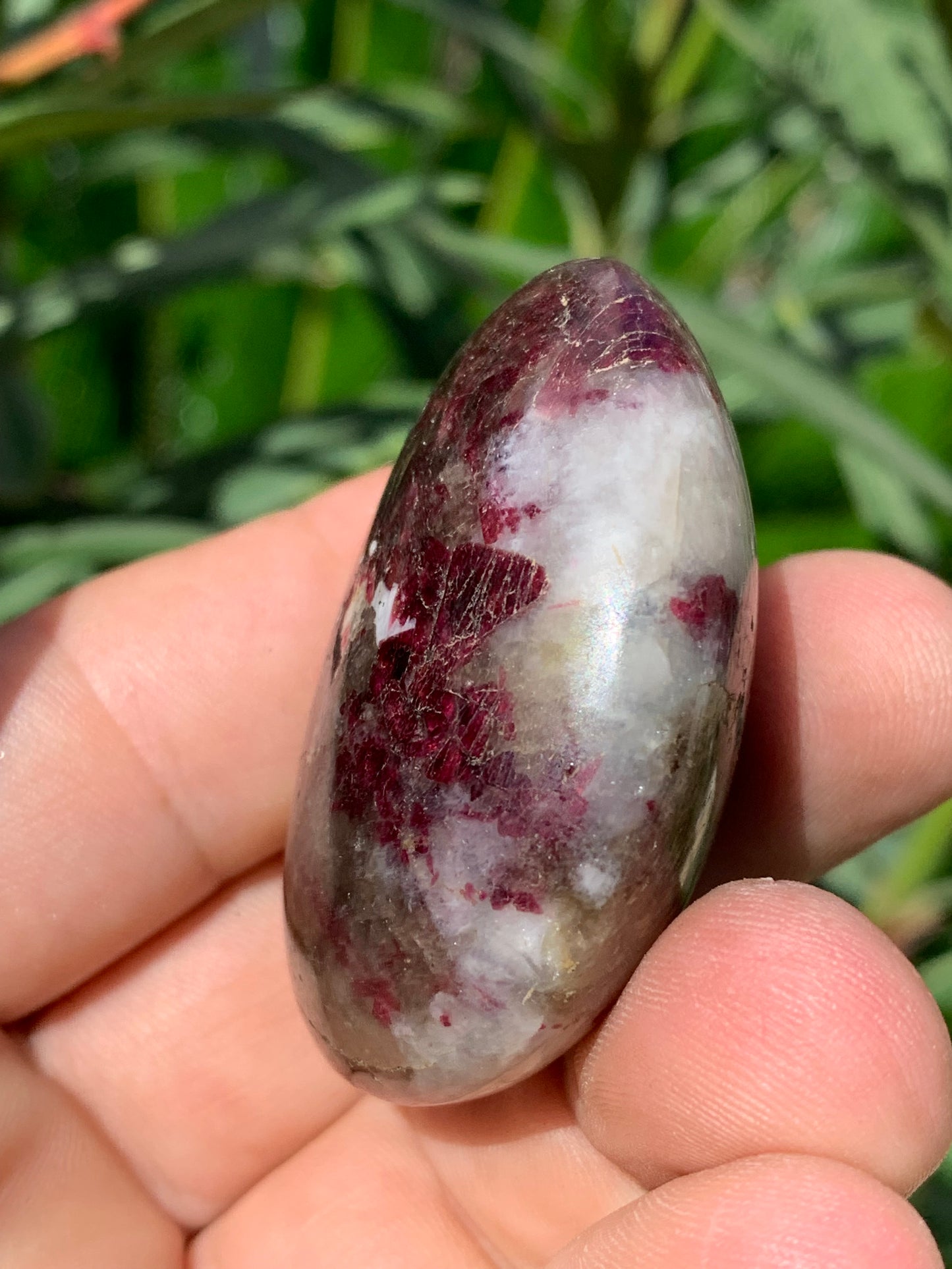 Tourmaline Rubellite, galet de 51 x 40 x 25 mm - 68,4 grammes. Une très belle et unique pièce !