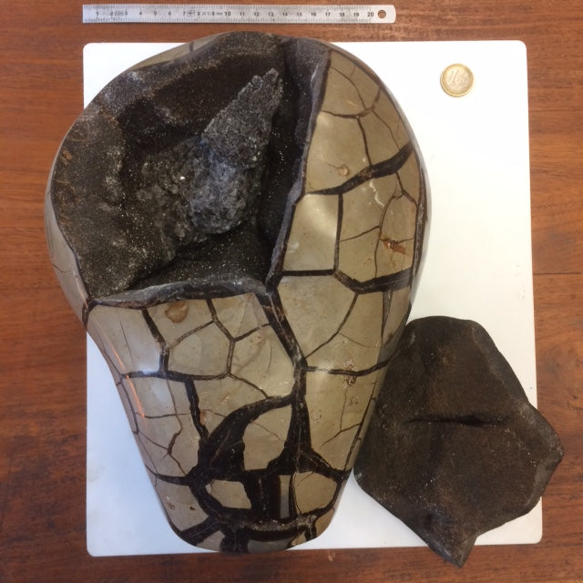Septaria de taille XL, géode ouverte en 2 parties de 8,8 kg, 28x20x12cm. Superbe qualité, pour collections, expositions...