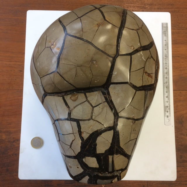 Septaria de taille XL, géode ouverte en 2 parties de 8,8 kg, 28x20x12cm. Superbe qualité, pour collections, expositions...