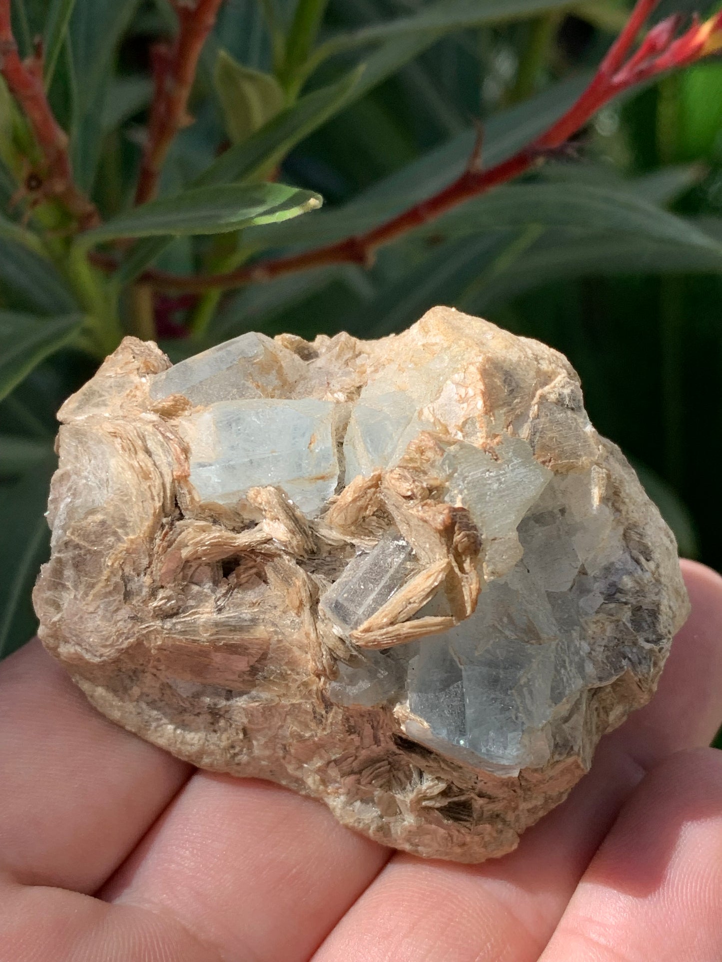 Aquamarine with Muscovite, superb piece of 66x48x43mm - 162.8 grams, 6 magnificent crystals on matrix!