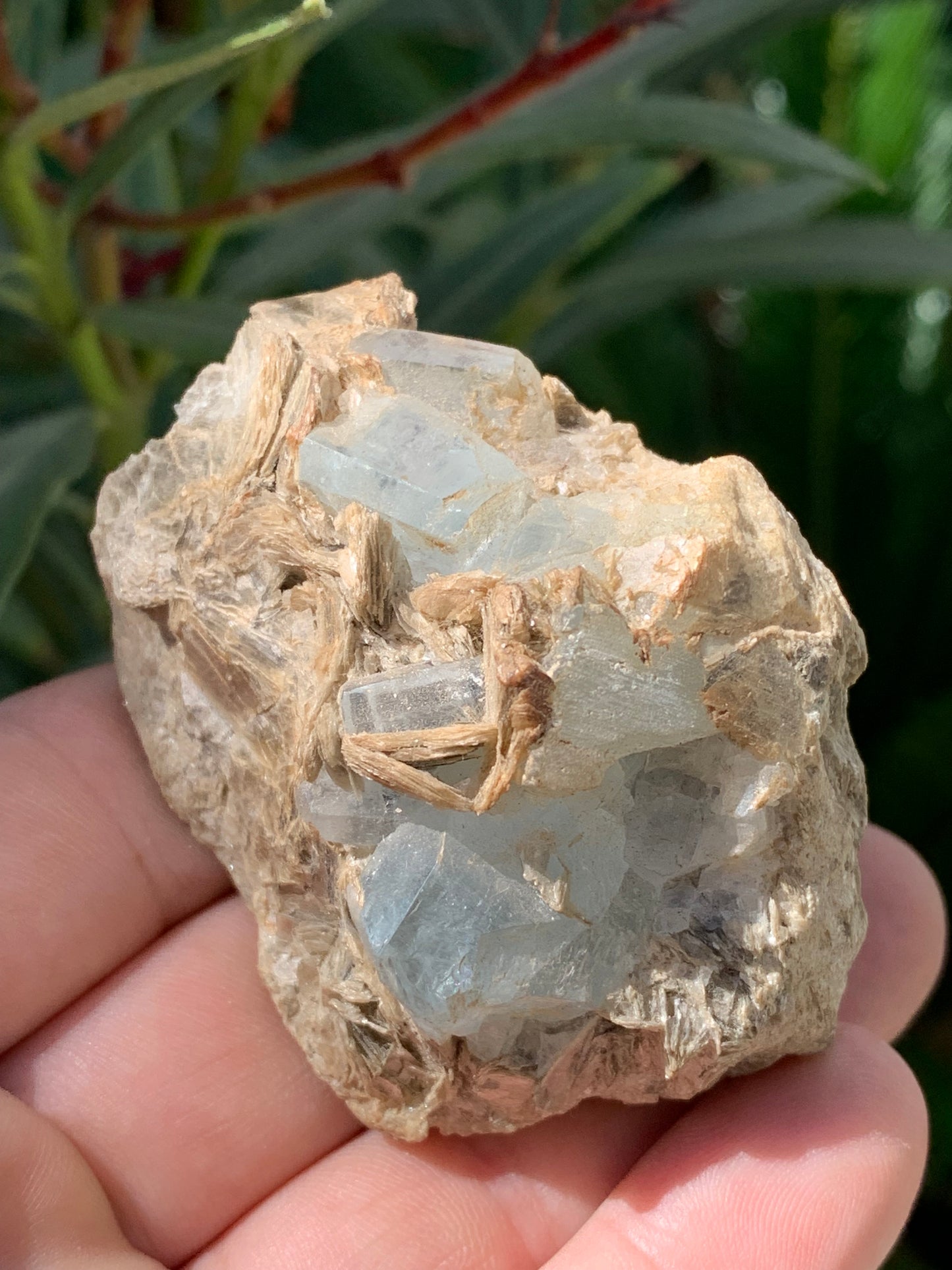 Aquamarine with Muscovite, superb piece of 66x48x43mm - 162.8 grams, 6 magnificent crystals on matrix!