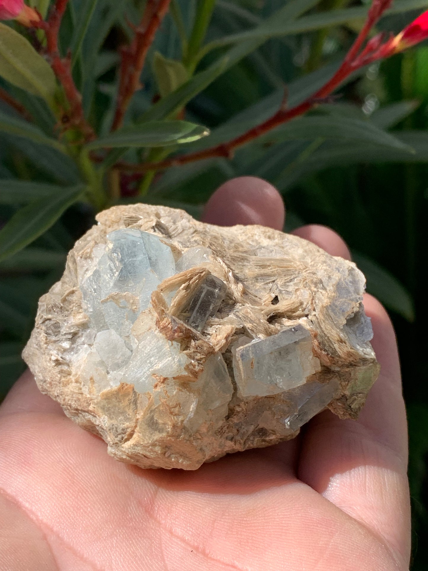 Aquamarine with Muscovite, superb piece of 66x48x43mm - 162.8 grams, 6 magnificent crystals on matrix!