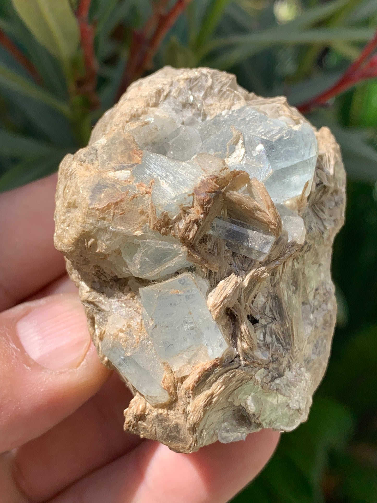 Aquamarine with Muscovite, superb piece of 66x48x43mm - 162.8 grams, 6 magnificent crystals on matrix!