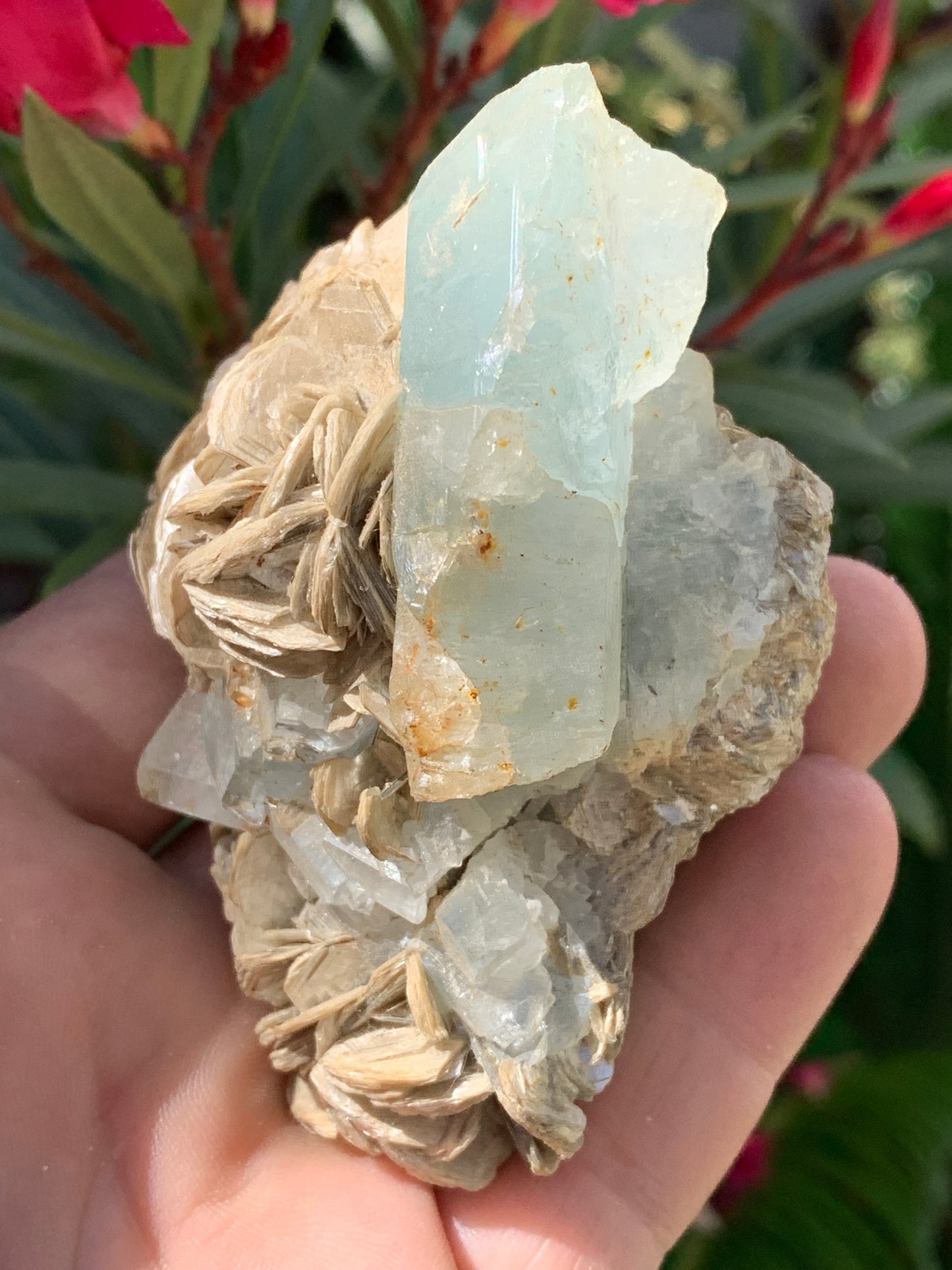 Aigue-marine avec Muscovite, superbe pièce de 87x63x60mm - 218,5 grammes, 3 magnifiques cristaux dont un très gros sur gangue !