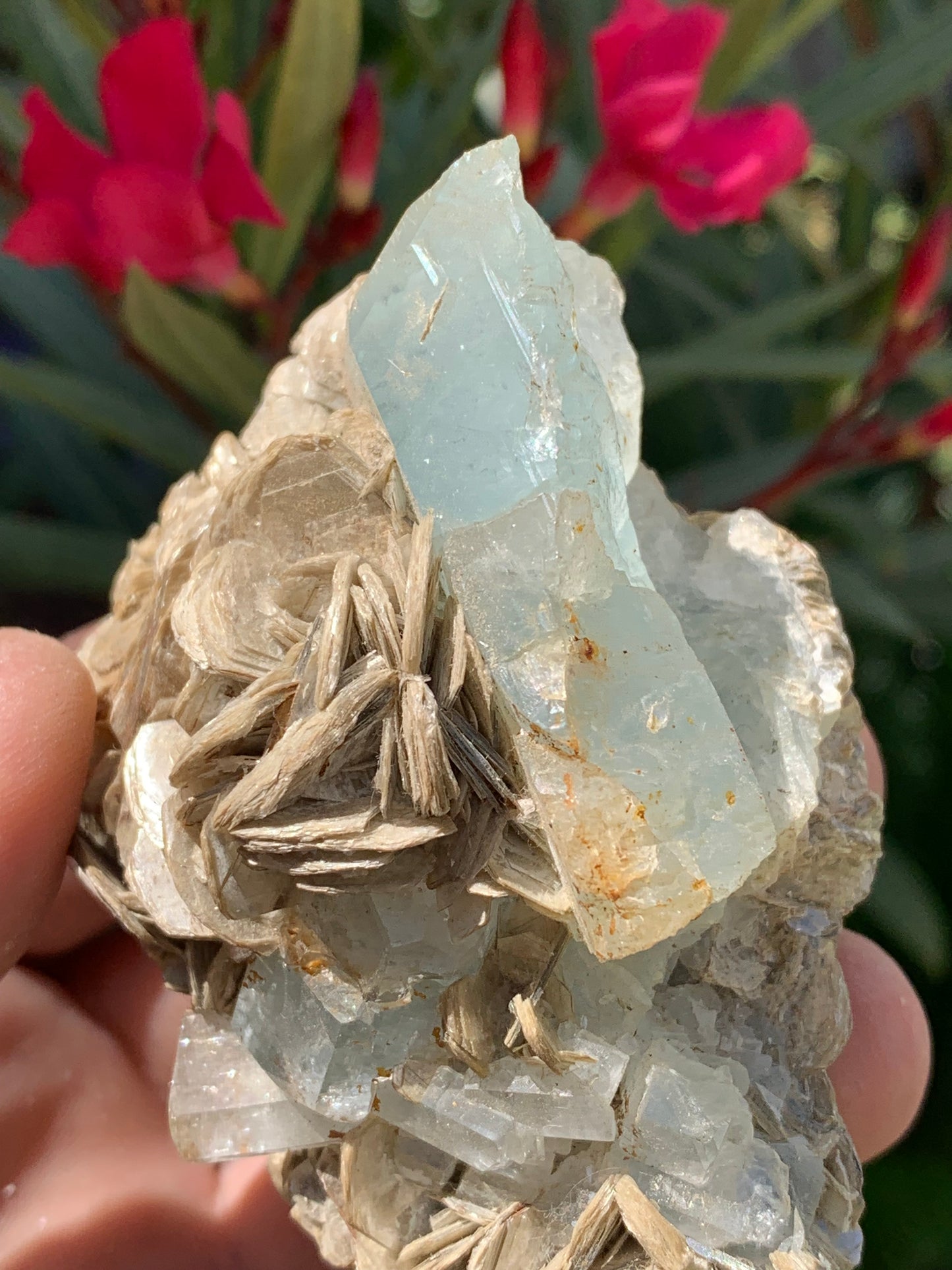 Aigue-marine avec Muscovite, superbe pièce de 87x63x60mm - 218,5 grammes, 3 magnifiques cristaux dont un très gros sur gangue !