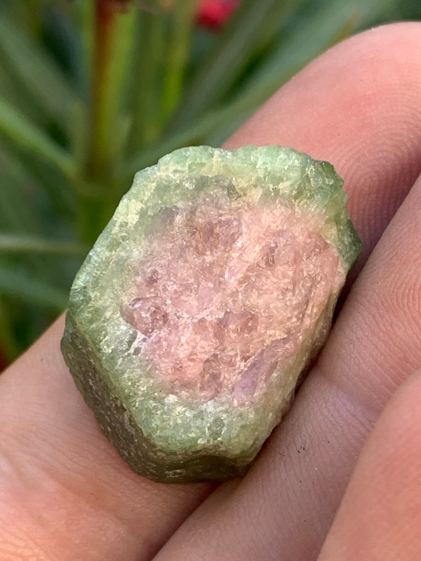 Tourmaline melon d'eau/ pastèque, cristal brut de 27mm x22 x13 environ - 11,3 grammes. Parfait en bijouterie, collection ,exposition...