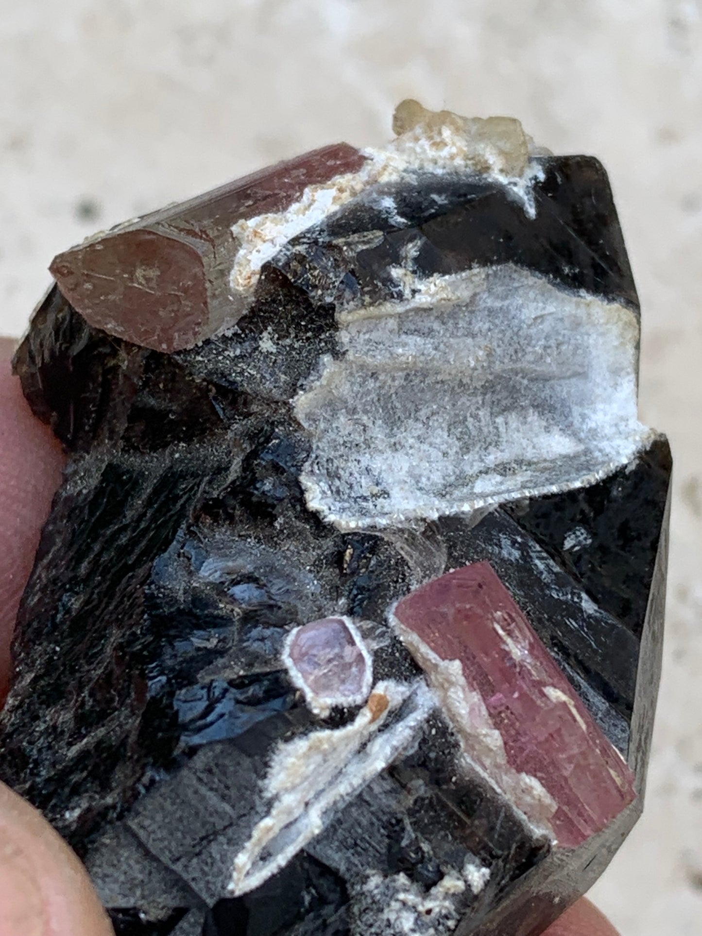 Quartz Morion / Quartz Fumé avec Tourmaline Rubellite, spécimen naturel de 50 x 37 x 24mm - 37,5 grammes. Belle petite pièce !