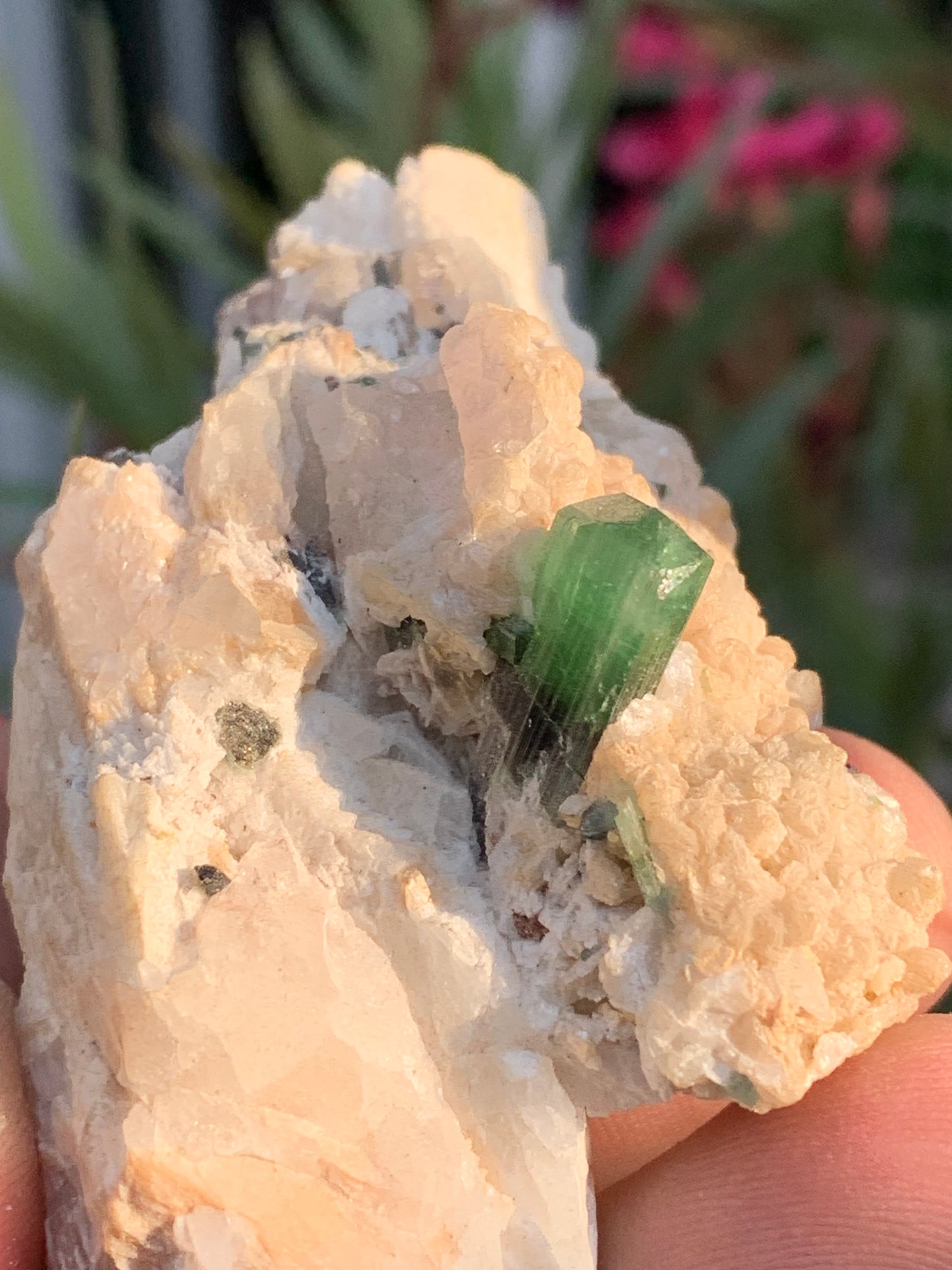 Tourmaline verte/ Verdélite, spécimen naturel de 74 x 44 x 30 mm - 84,7 grammes !