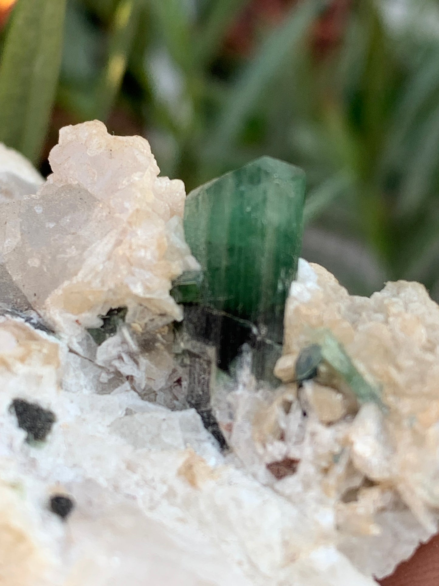 Tourmaline verte/ Verdélite, spécimen naturel de 74 x 44 x 30 mm - 84,7 grammes !