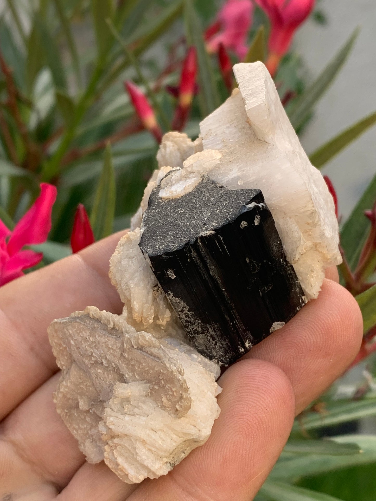 Tourmaline noire, spécimen naturel de 80 x 50 x 36 mm - 117 grammes. Une très belle tourmaline sur Quartz et Muscovite !