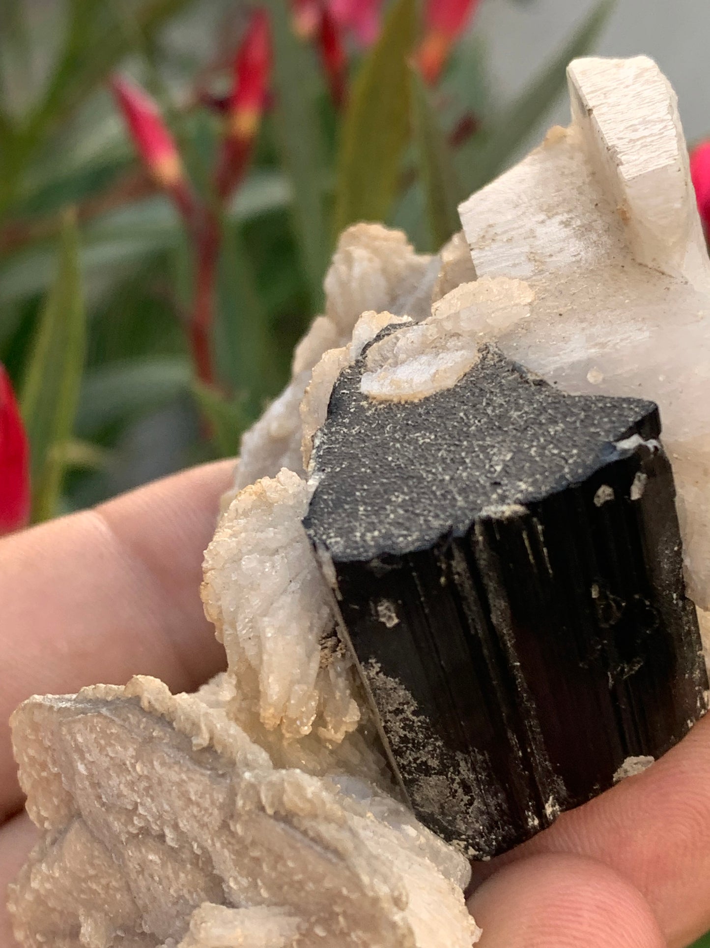 Tourmaline noire, spécimen naturel de 80 x 50 x 36 mm - 117 grammes. Une très belle tourmaline sur Quartz et Muscovite !