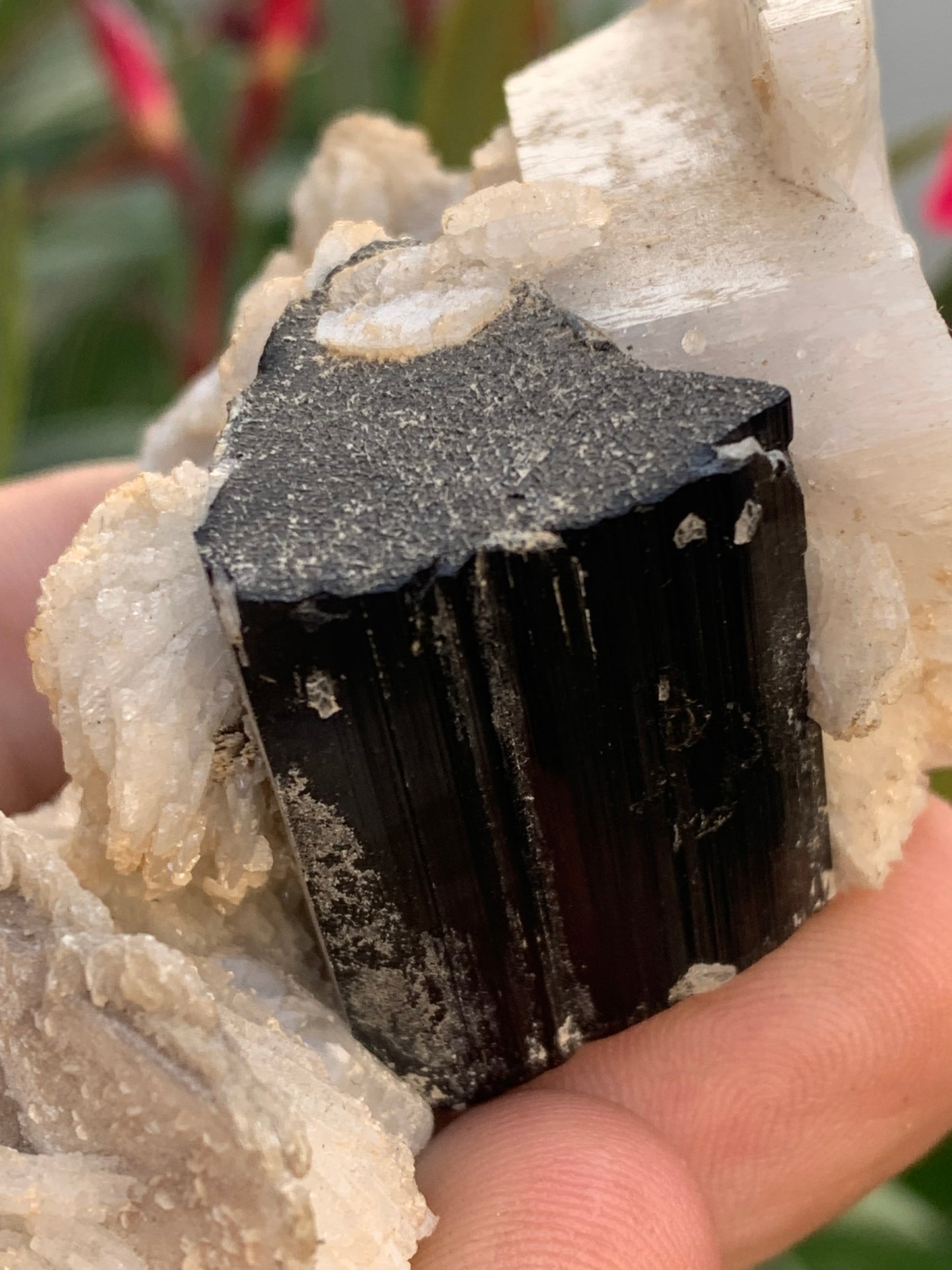 Tourmaline noire, spécimen naturel de 80 x 50 x 36 mm - 117 grammes. Une très belle tourmaline sur Quartz et Muscovite !