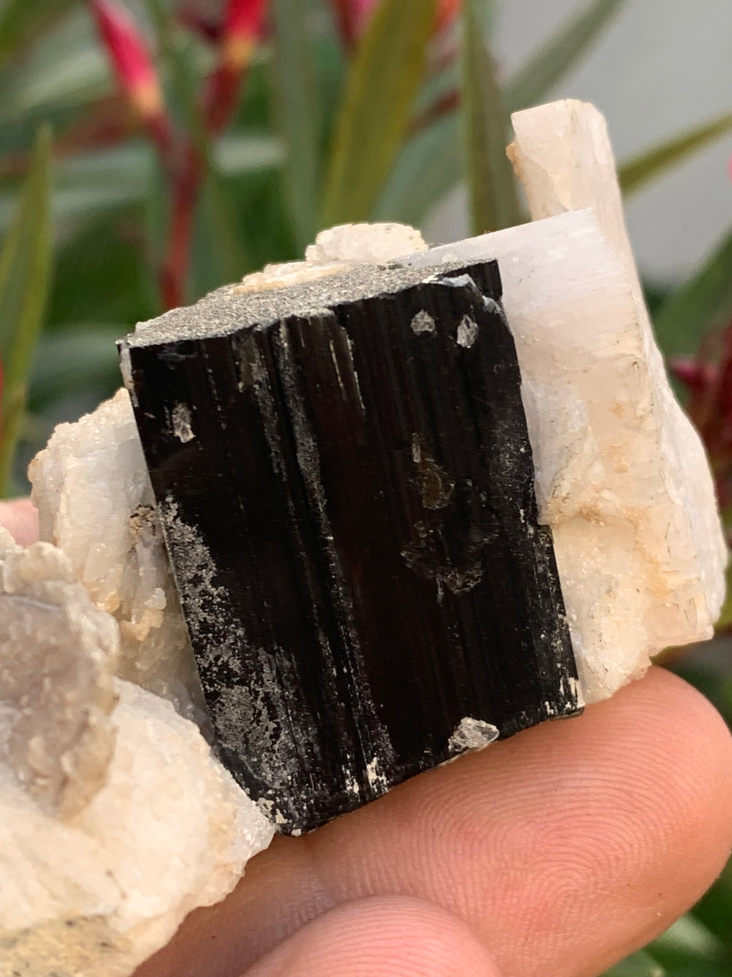Tourmaline noire, spécimen naturel de 80 x 50 x 36 mm - 117 grammes. Une très belle tourmaline sur Quartz et Muscovite !