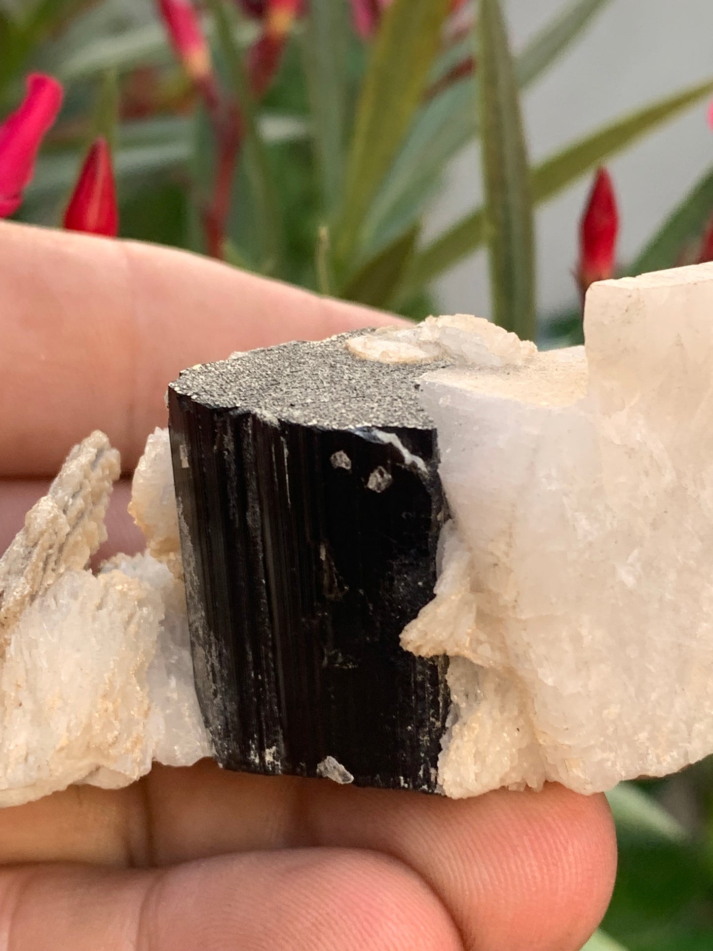 Tourmaline noire, spécimen naturel de 80 x 50 x 36 mm - 117 grammes. Une très belle tourmaline sur Quartz et Muscovite !
