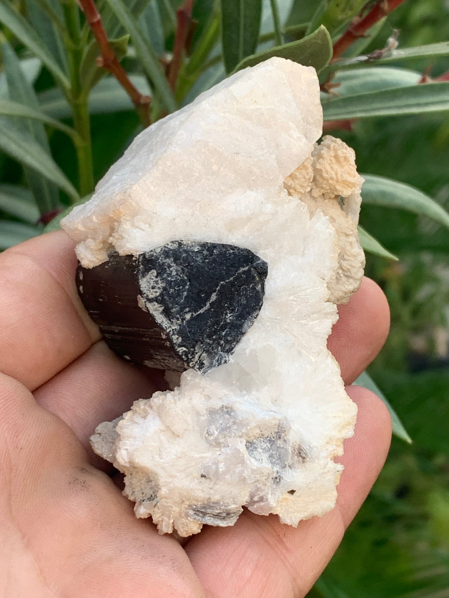 Tourmaline noire, spécimen naturel de 80 x 50 x 36 mm - 117 grammes. Une très belle tourmaline sur Quartz et Muscovite !