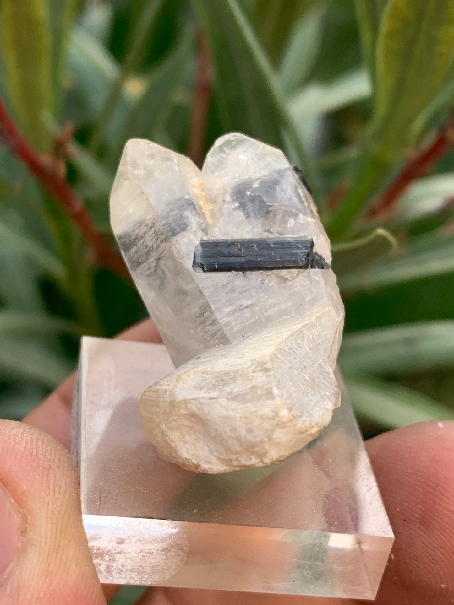 Tourmaline noire, spécimen naturel de 38 x 26 x 23 mm - 19,5 grammes. Une très belle tourmaline sur Quartz et Kunzite verte !