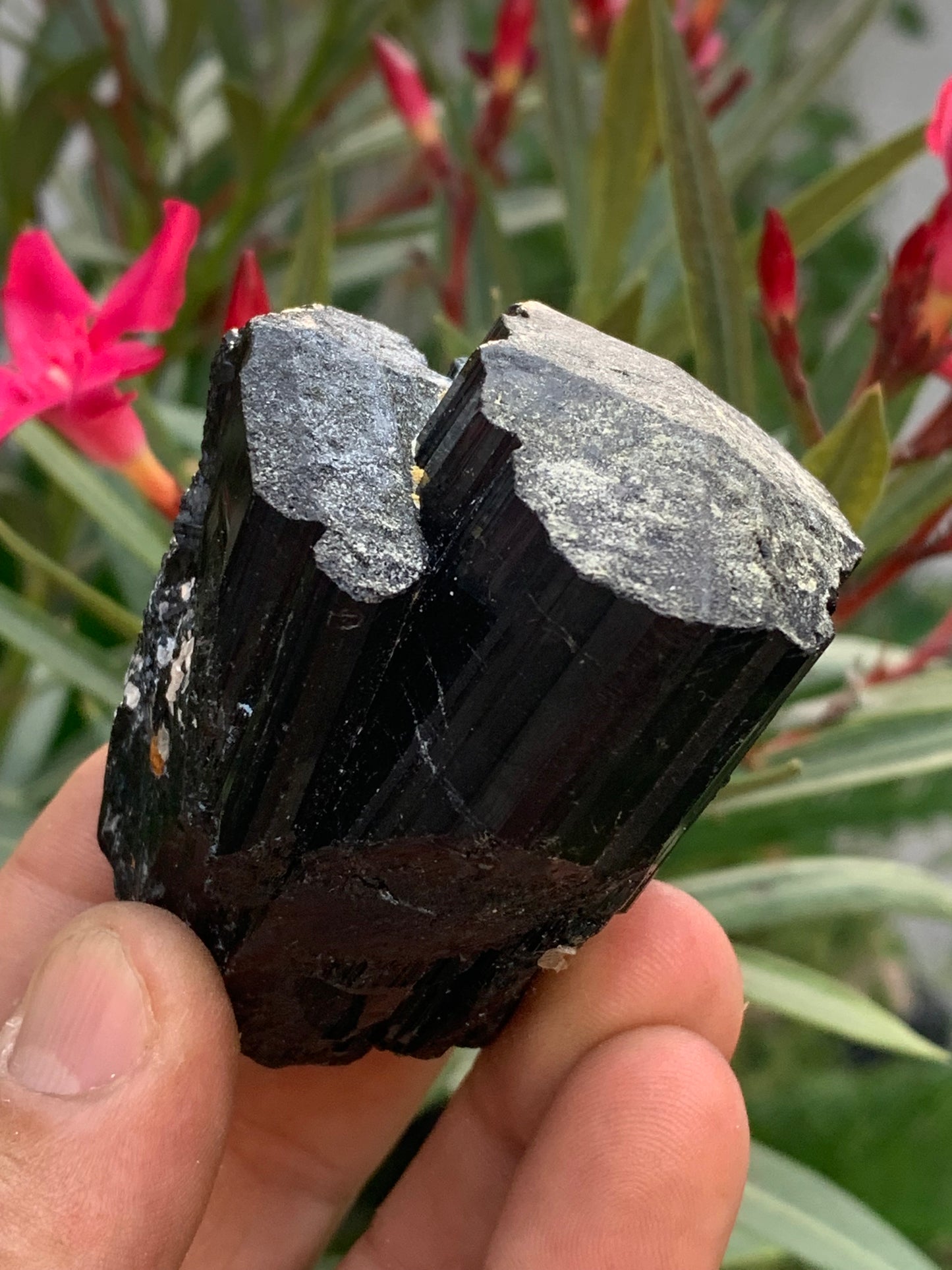 Tourmaline noire, spécimen naturel de 65 x 52 x 50 mm - 246,2 grammes. Un très beau bloc tourmaline !