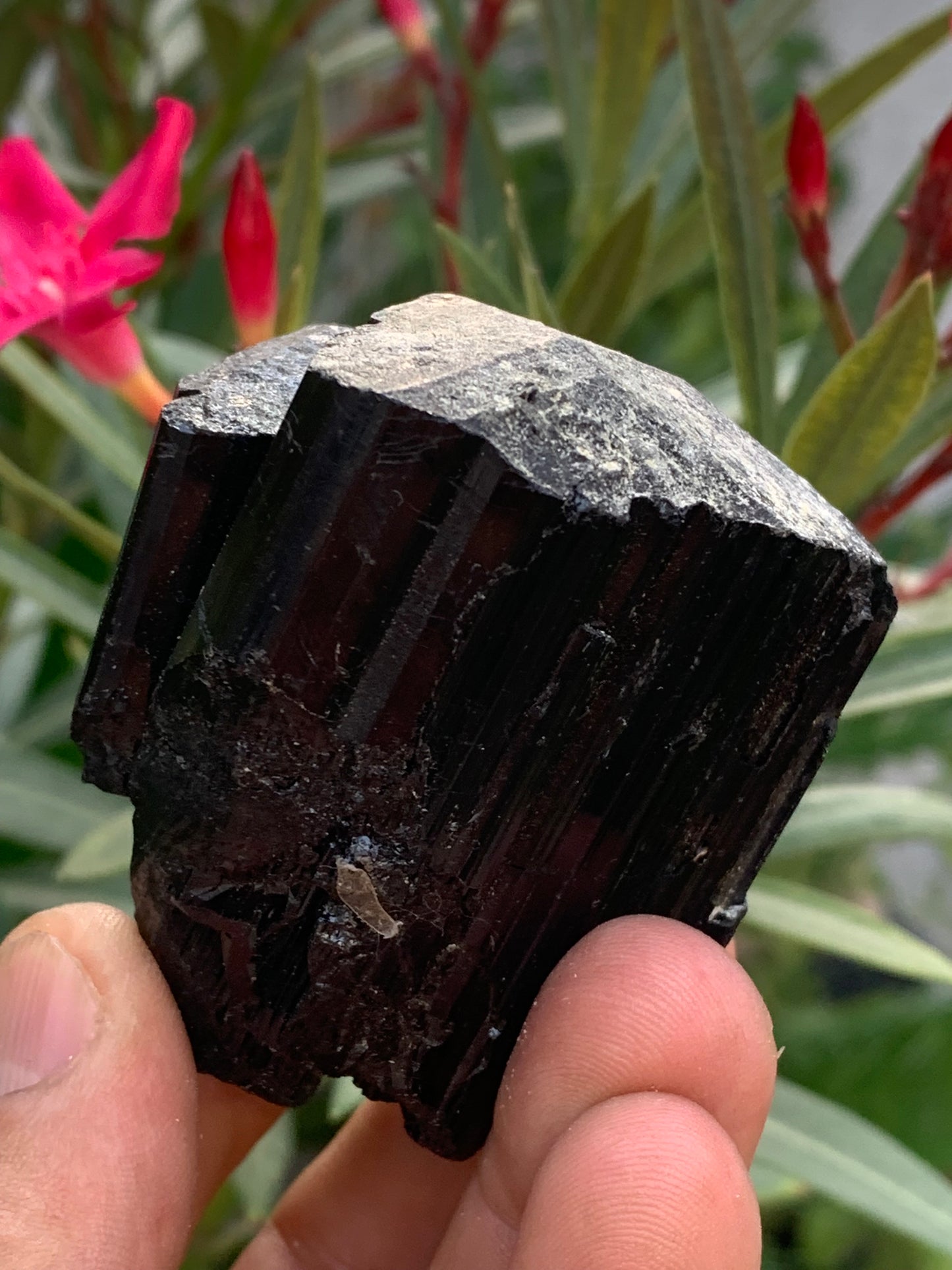 Tourmaline noire, spécimen naturel de 65 x 52 x 50 mm - 246,2 grammes. Un très beau bloc tourmaline !