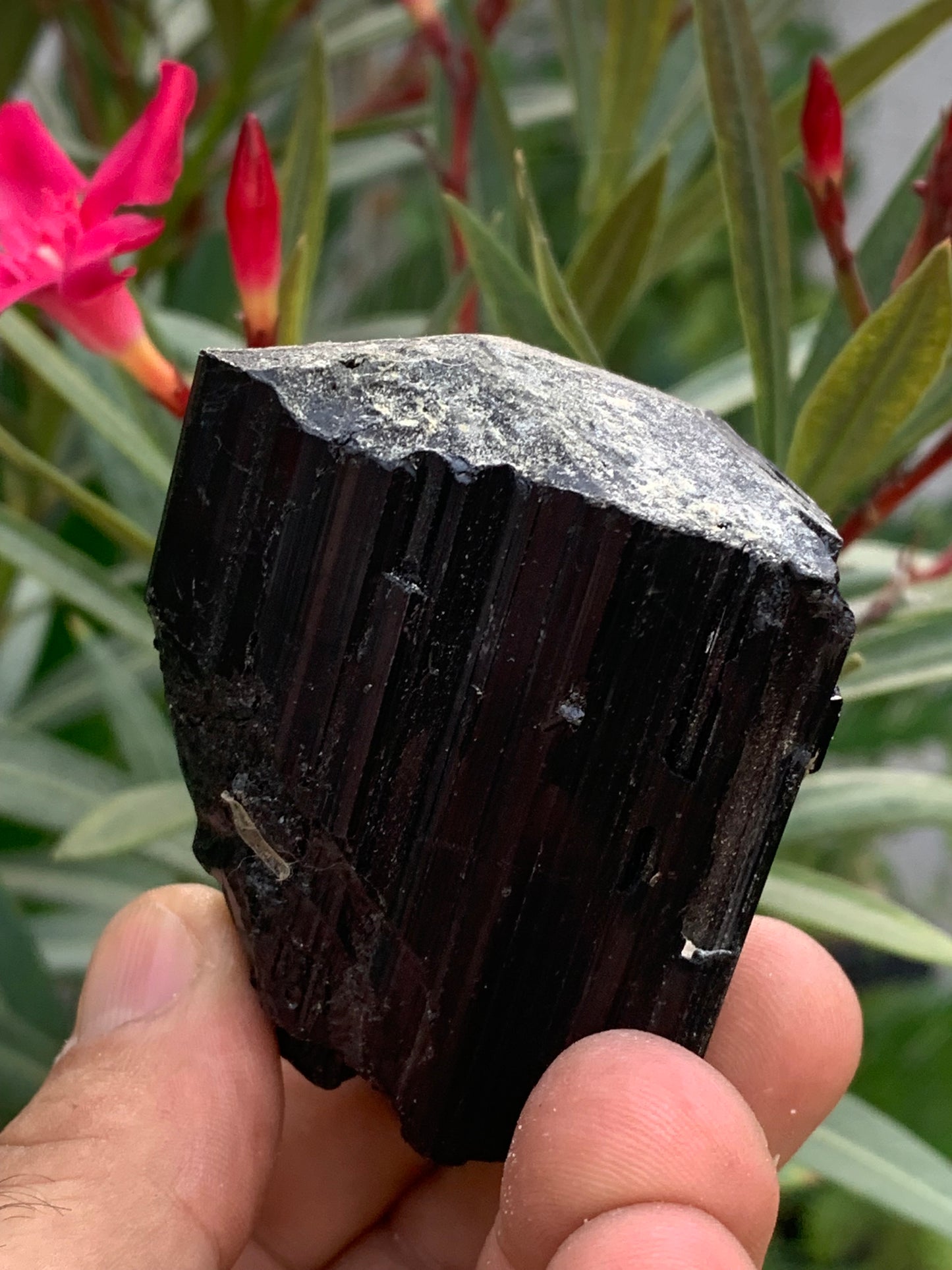 Tourmaline noire, spécimen naturel de 65 x 52 x 50 mm - 246,2 grammes. Un très beau bloc tourmaline !
