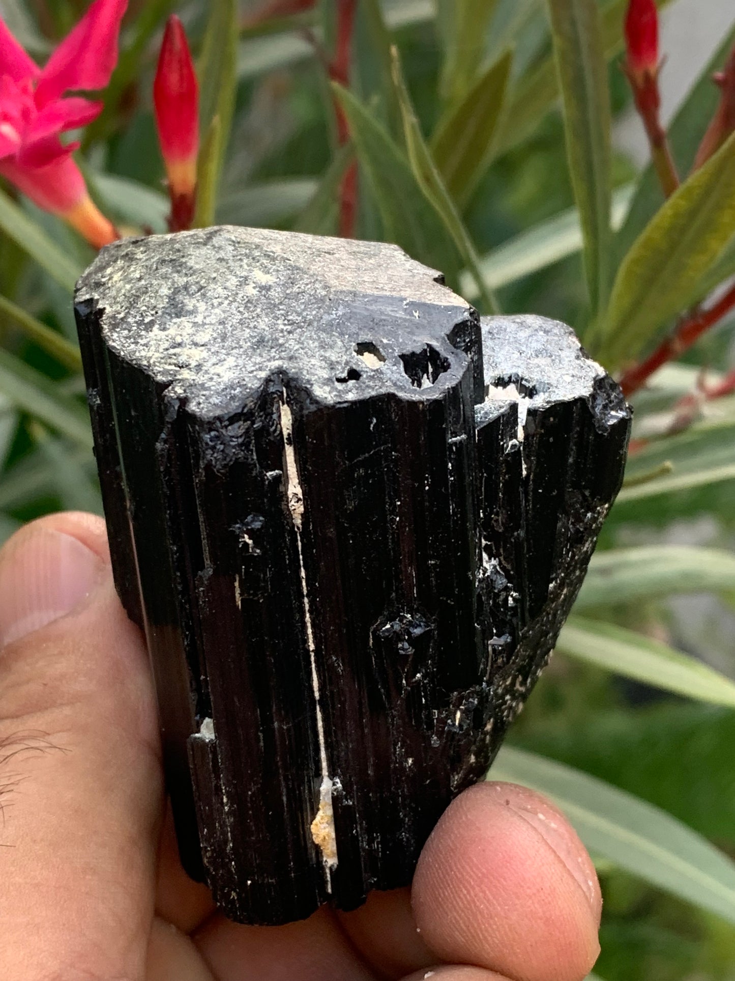 Tourmaline noire, spécimen naturel de 65 x 52 x 50 mm - 246,2 grammes. Un très beau bloc tourmaline !