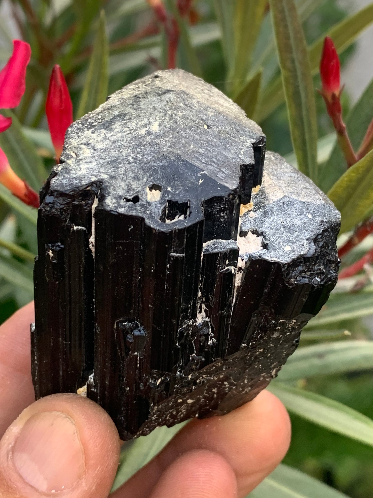 Tourmaline noire, spécimen naturel de 65 x 52 x 50 mm - 246,2 grammes. Un très beau bloc tourmaline !