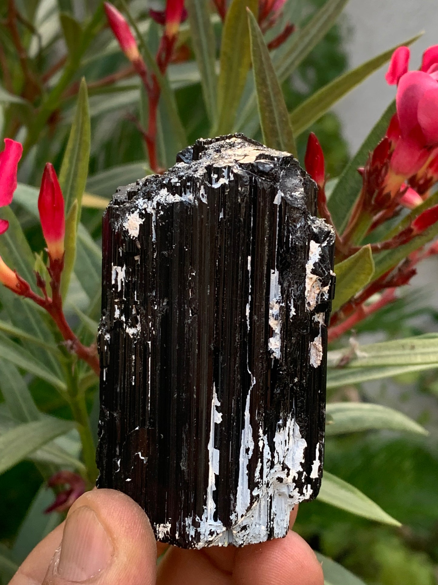 Tourmaline noire, spécimen naturel de 65 x 49 x 45 mm - 248,2 grammes. Un très beau bloc tourmaline !