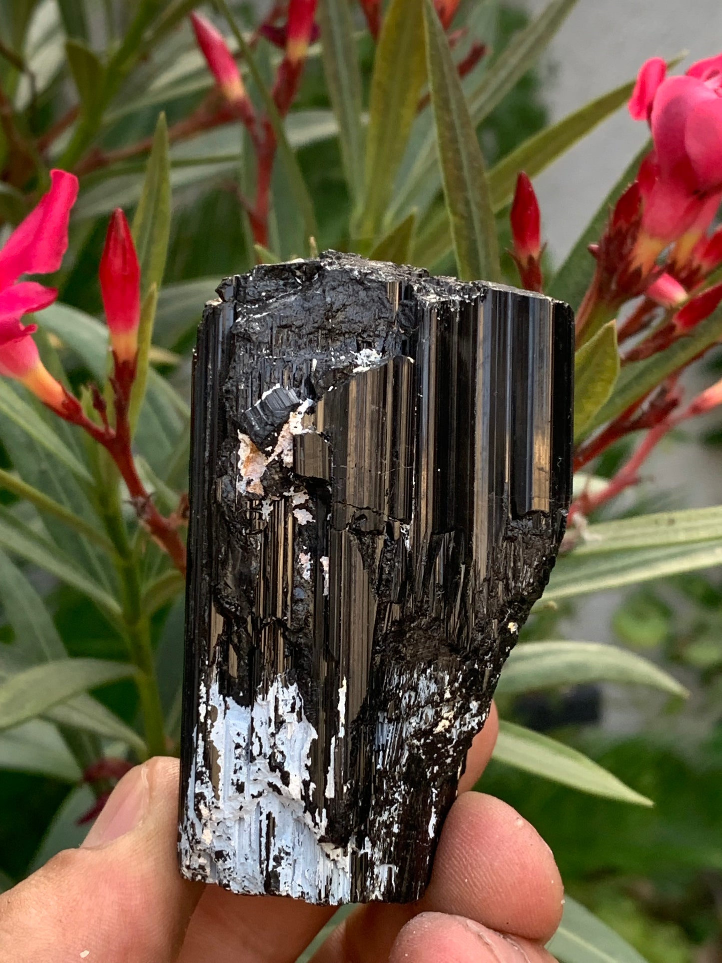 Tourmaline noire, spécimen naturel de 65 x 49 x 45 mm - 248,2 grammes. Un très beau bloc tourmaline !