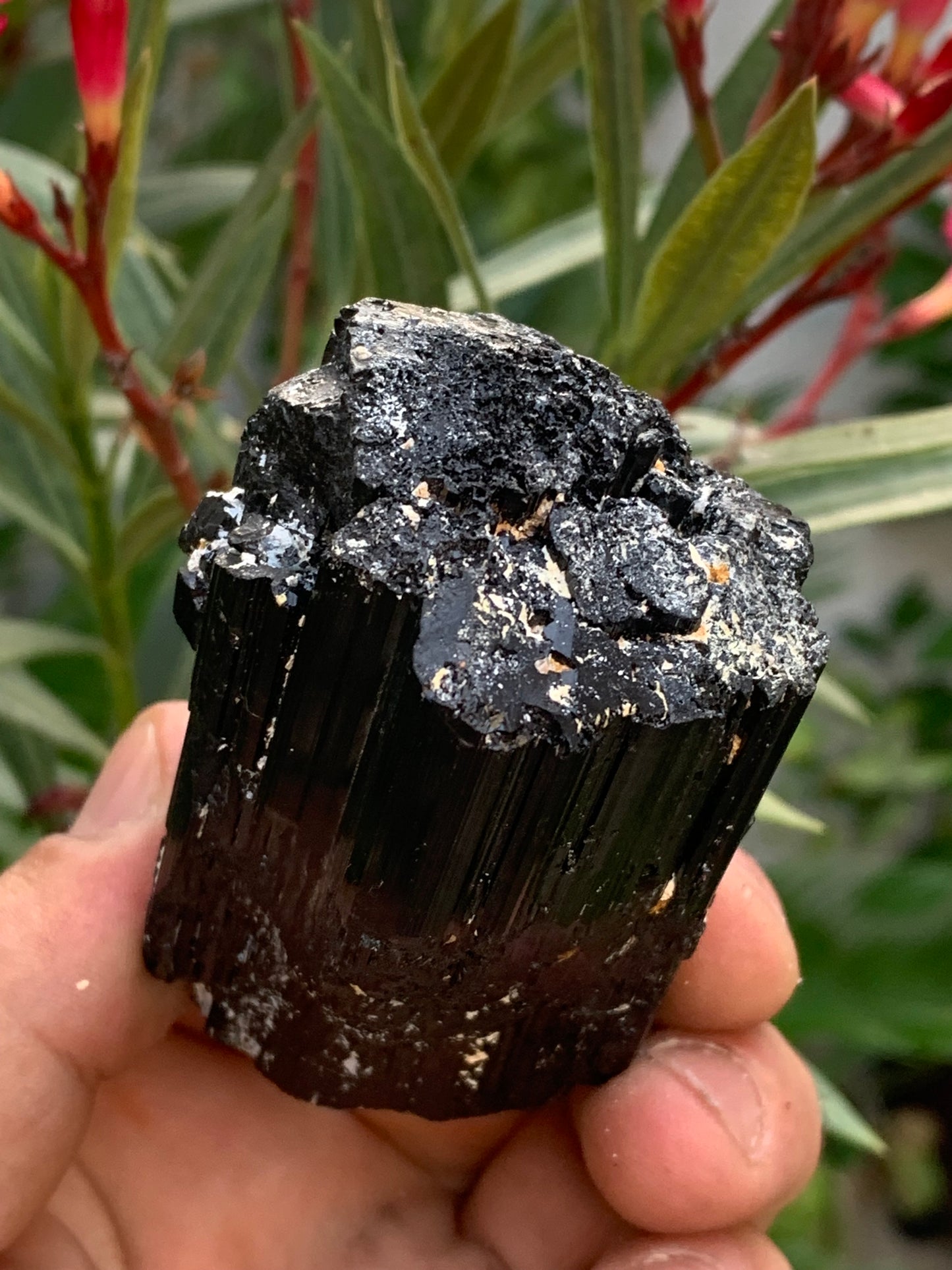 Tourmaline noire, spécimen naturel de 65 x 49 x 45 mm - 248,2 grammes. Un très beau bloc tourmaline !