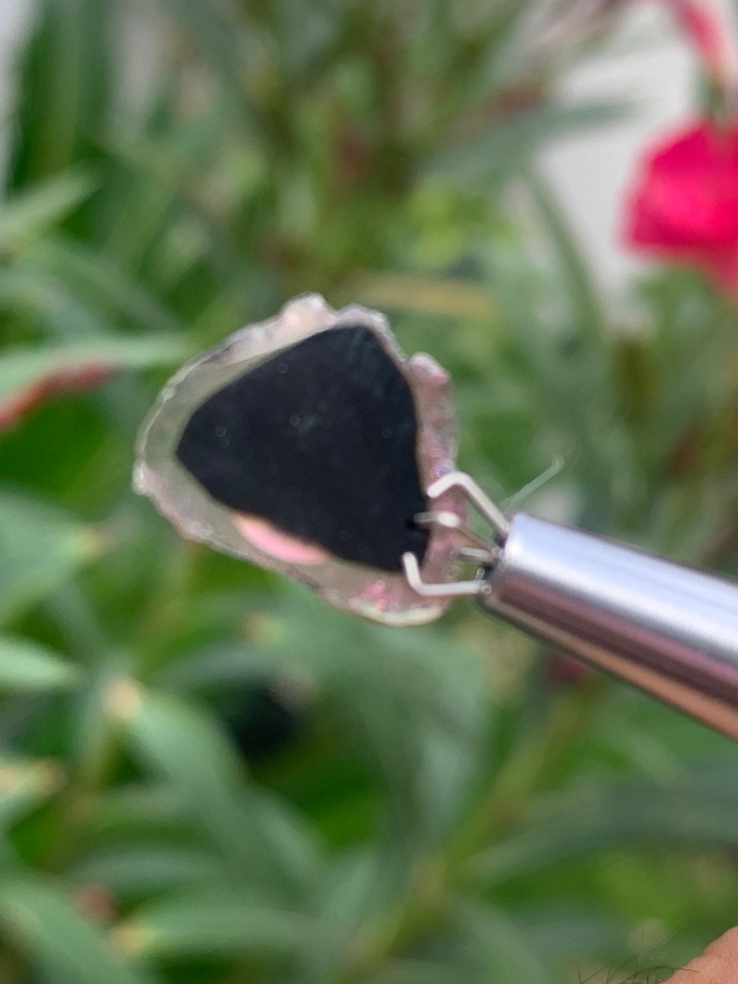 Tourmaline melon d'eau/ pastèque, vendu par paire, 15mm x 14 x 3 - 7 carats. Parfait en bijouterie, collection ,exposition...