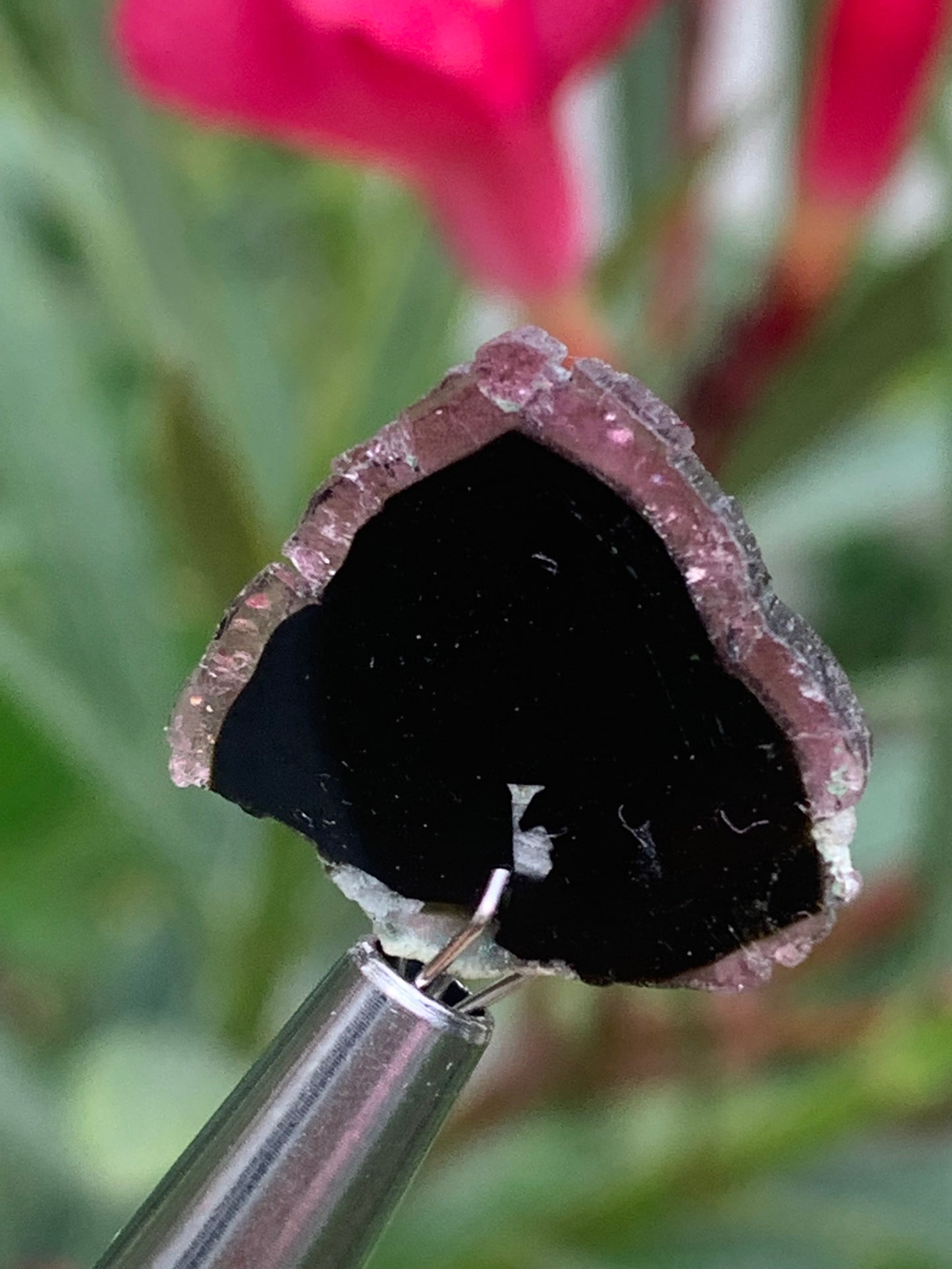 Tourmaline melon d'eau/ pastèque, 18mm x 16 x 4 - 10 carats. Parfait en bijouterie, collection ,exposition...