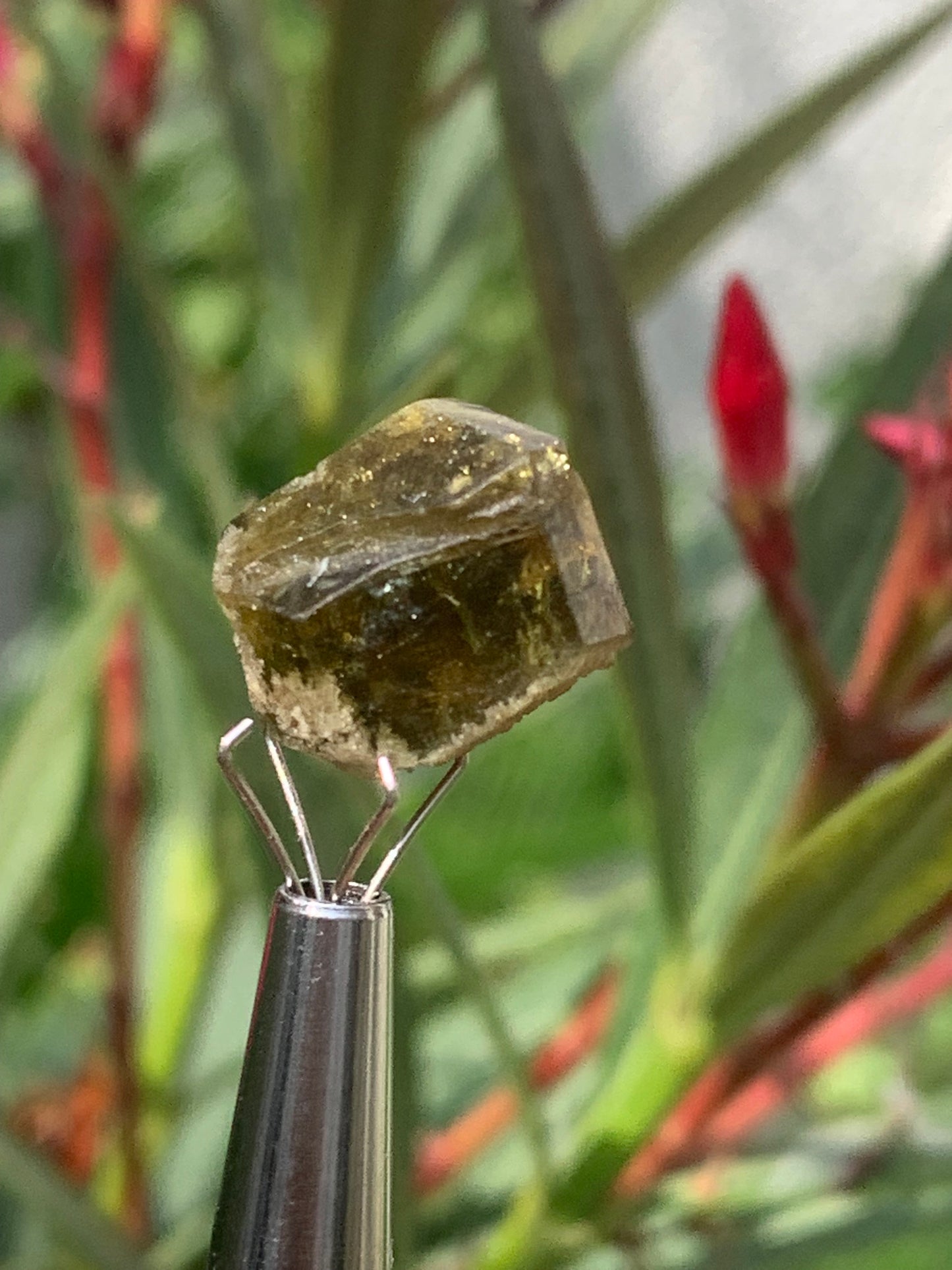 Tourmaline verte/ Verdélite, cristal naturel de 15 x 12 x 10 mm - 2,7 grammes. Magnifique cristal au vert cristal !