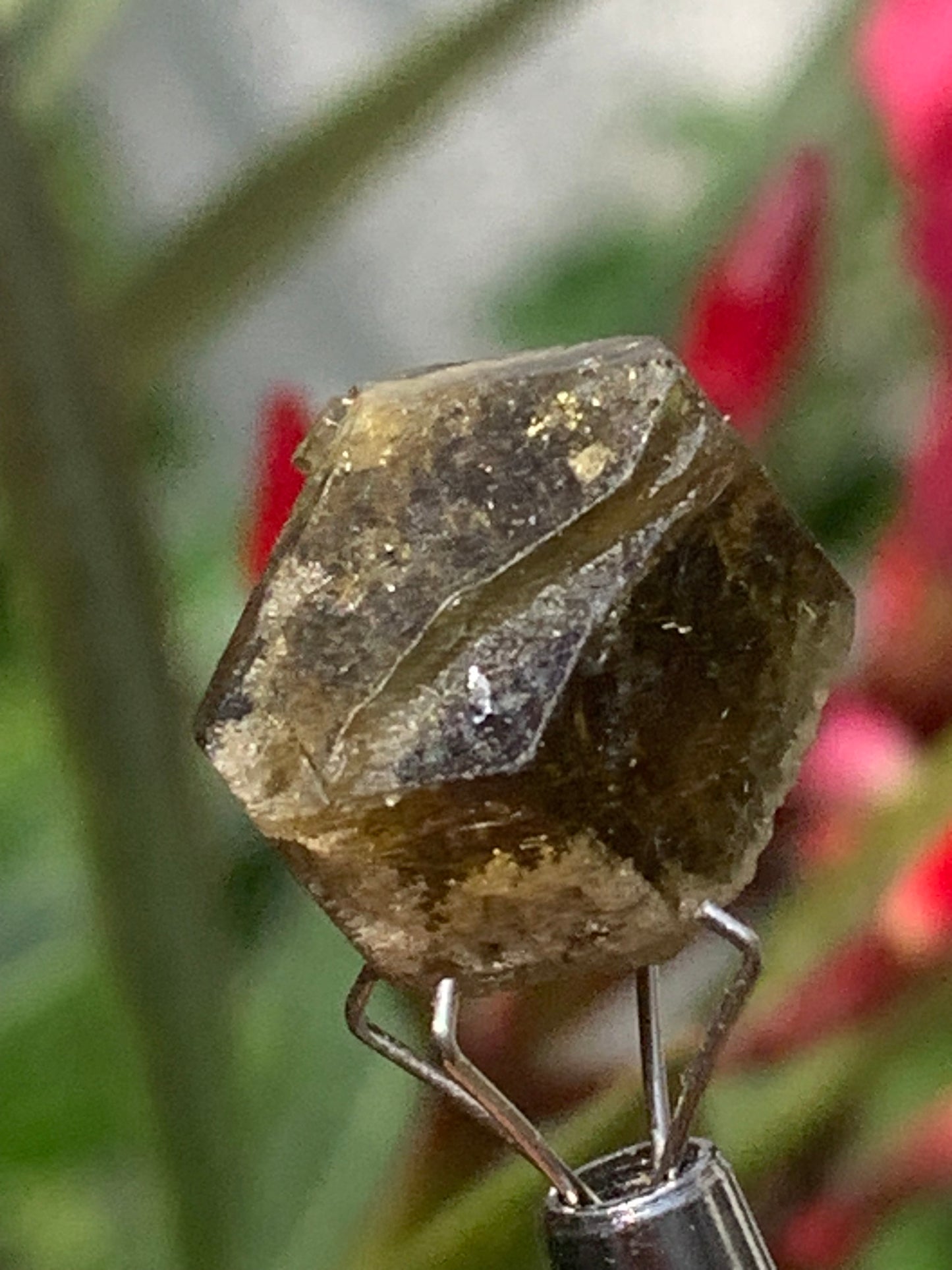 Tourmaline verte/ Verdélite, cristal naturel de 15 x 12 x 10 mm - 2,7 grammes. Magnifique cristal au vert cristal !