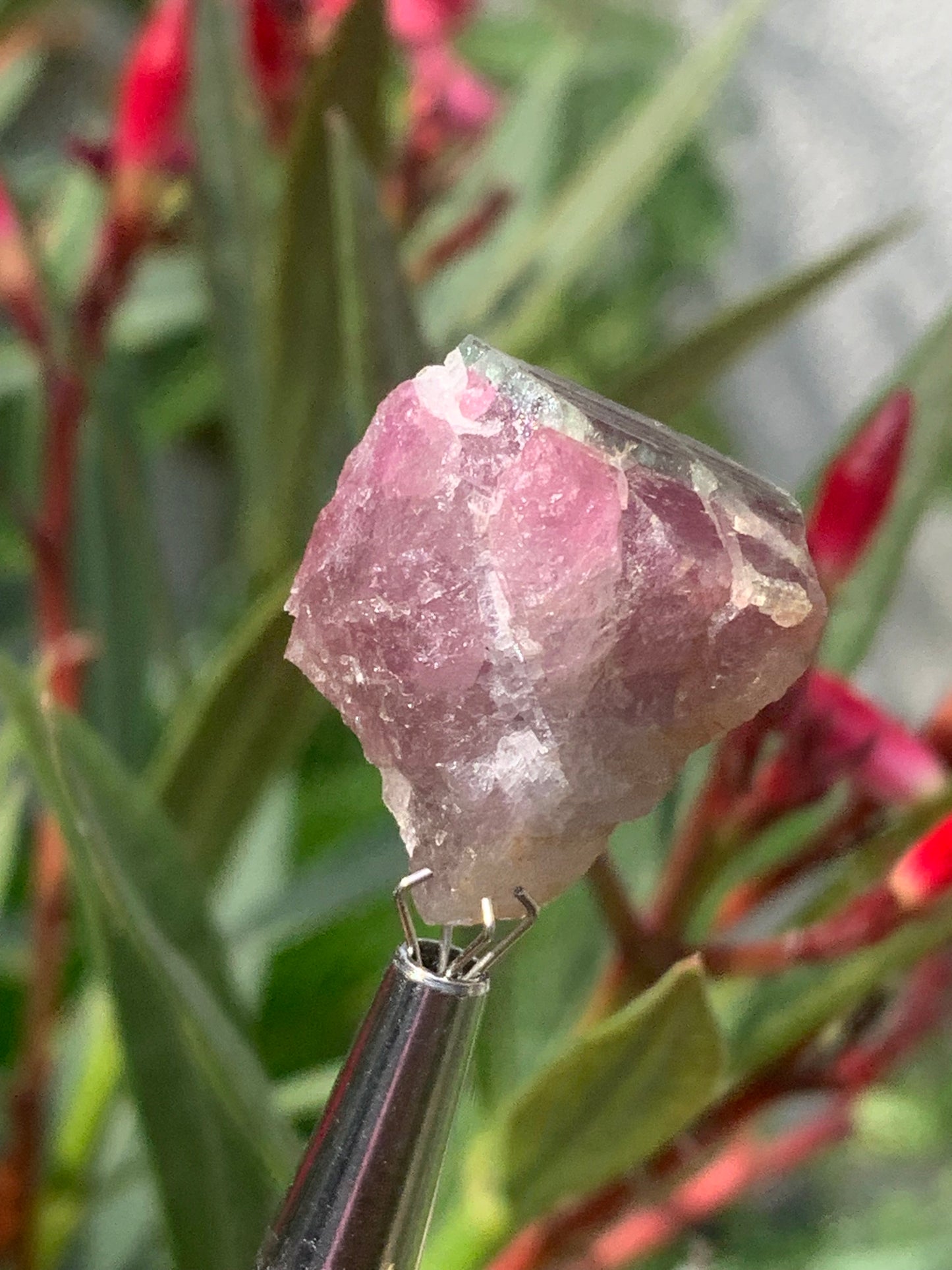 Tourmaline Rubellite, 24 x 20 x 13mm - 7,3 grammes. Une belle pièce naturelle !
