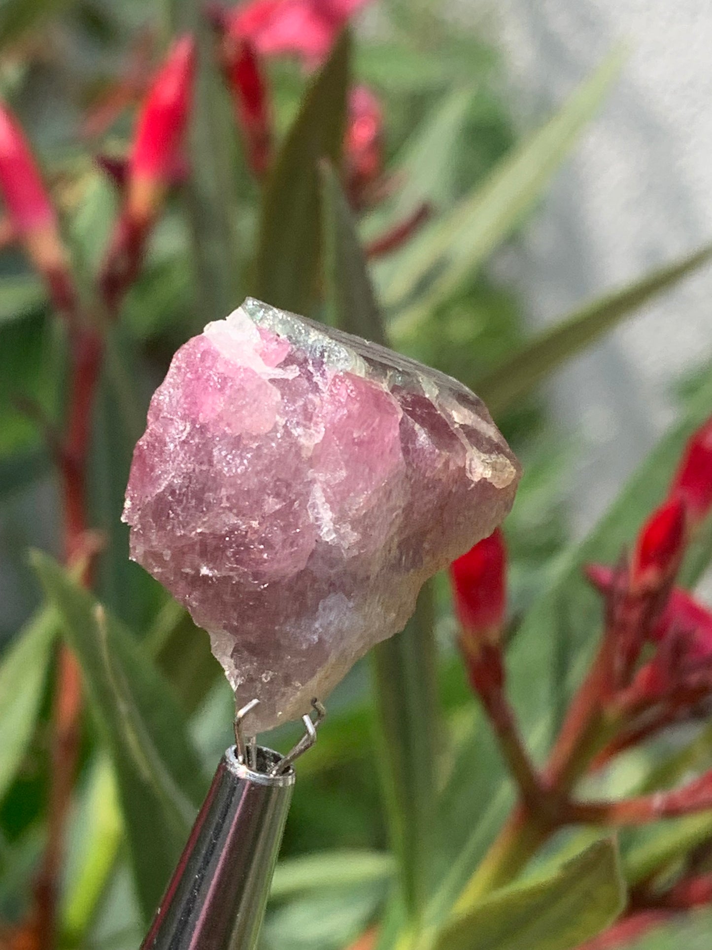 Tourmaline Rubellite, 24 x 20 x 13mm - 7,3 grammes. Une belle pièce naturelle !