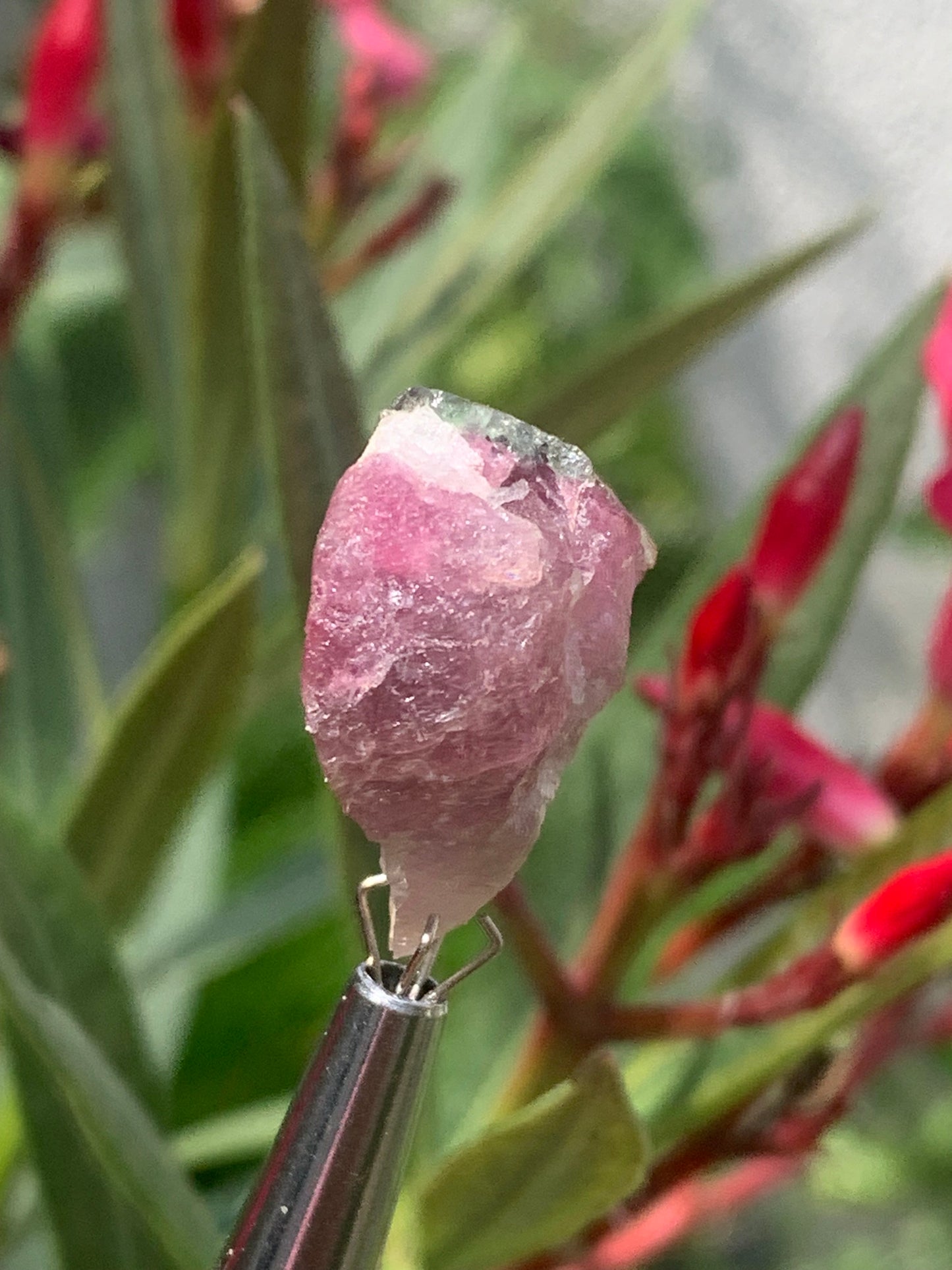 Tourmaline Rubellite, 24 x 20 x 13mm - 7,3 grammes. Une belle pièce naturelle !