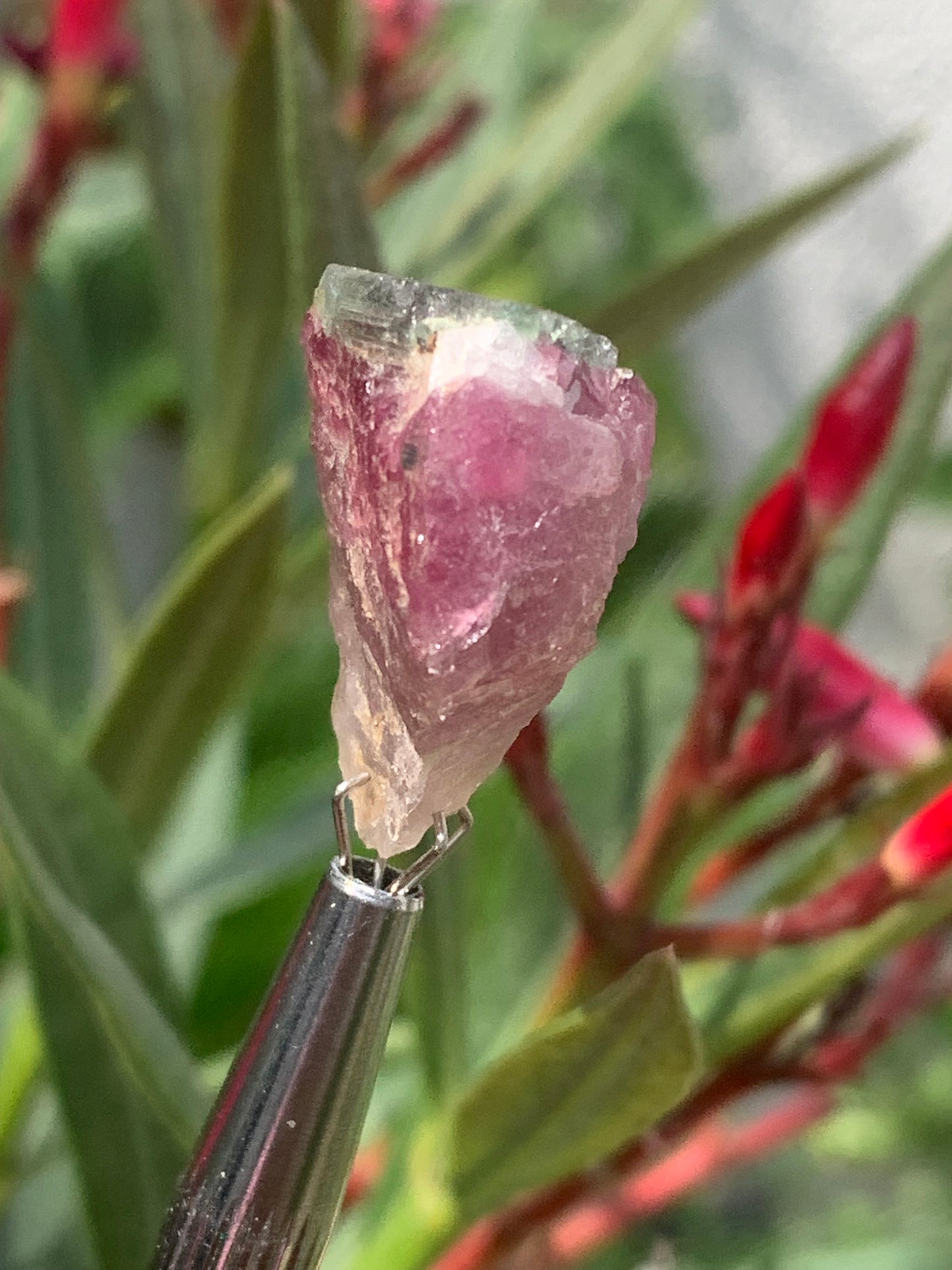 Tourmaline Rubellite, 24 x 20 x 13mm - 7,3 grammes. Une belle pièce naturelle !