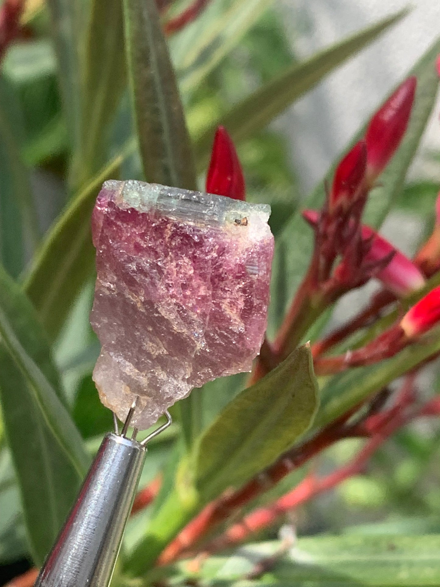 Tourmaline Rubellite, 24 x 20 x 13mm - 7,3 grammes. Une belle pièce naturelle !