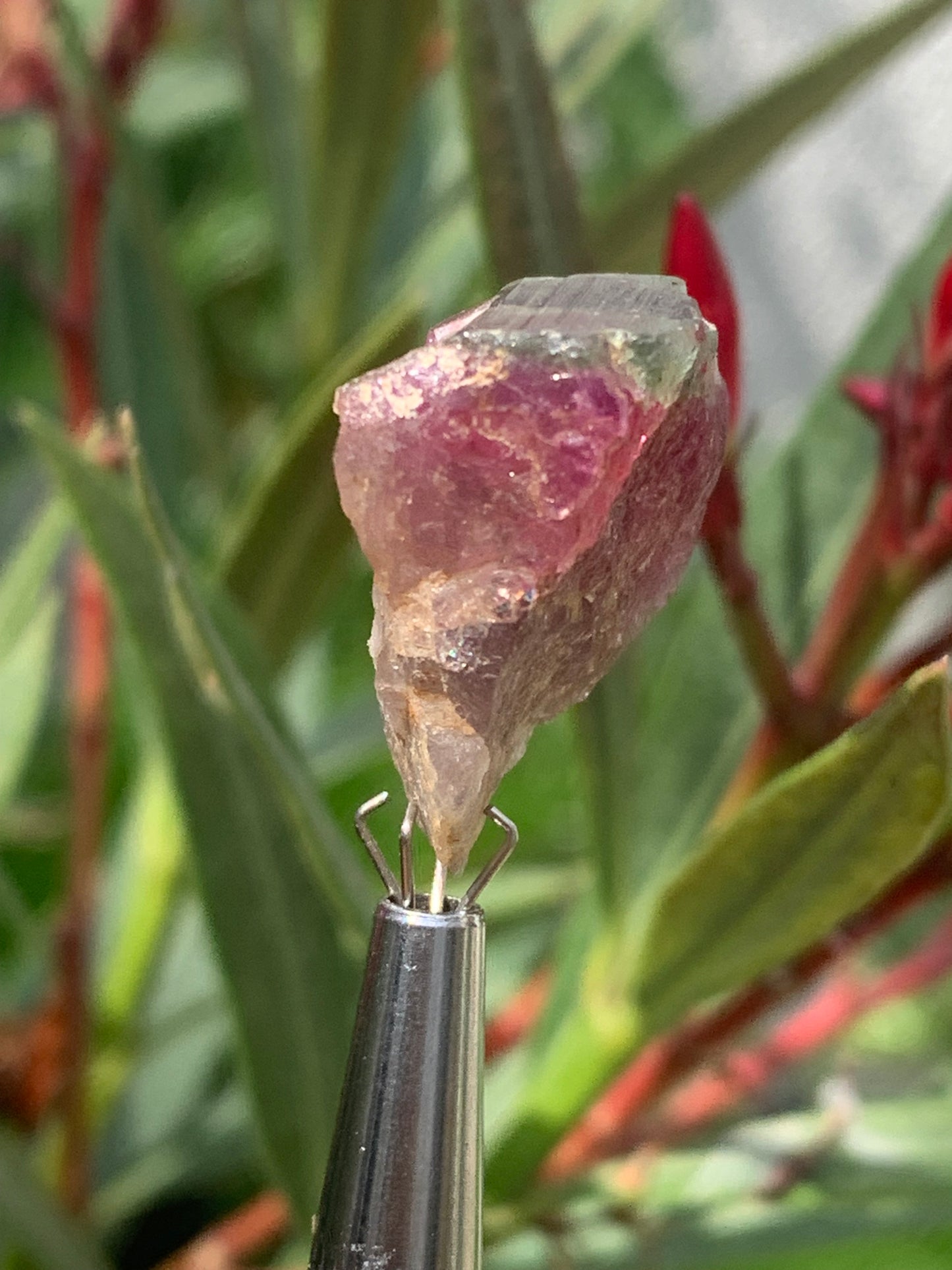 Tourmaline Rubellite, 24 x 20 x 13mm - 7,3 grammes. Une belle pièce naturelle !