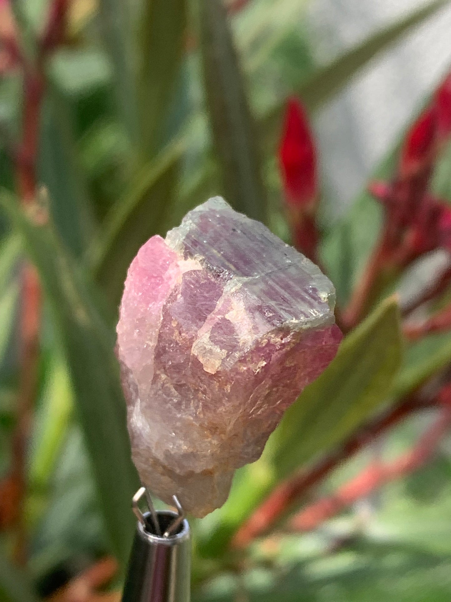 Tourmaline Rubellite, 24 x 20 x 13mm - 7,3 grammes. Une belle pièce naturelle !