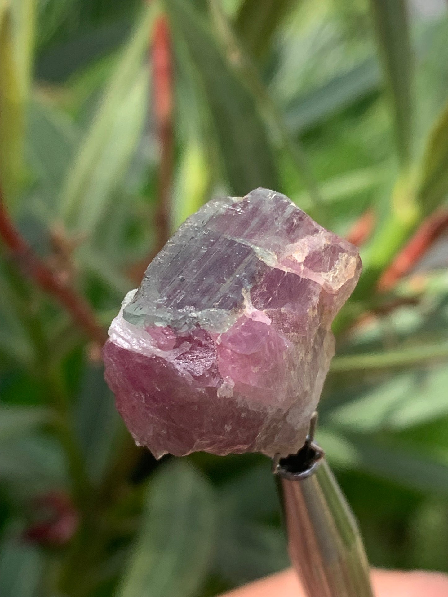 Tourmaline Rubellite, 24 x 20 x 13mm - 7,3 grammes. Une belle pièce naturelle !