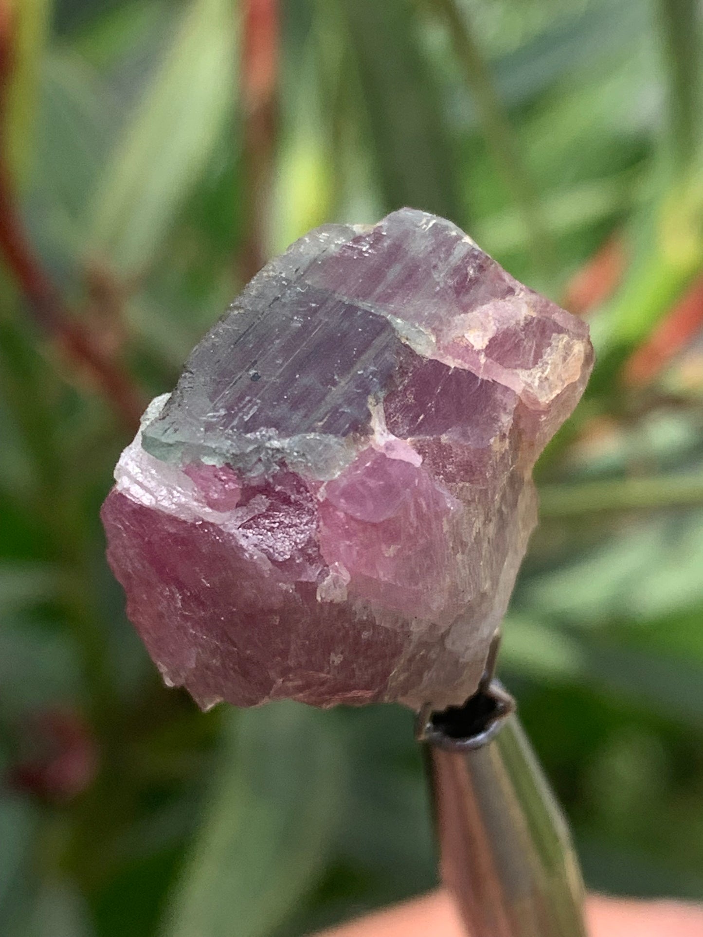 Tourmaline Rubellite, 24 x 20 x 13mm - 7,3 grammes. Une belle pièce naturelle !