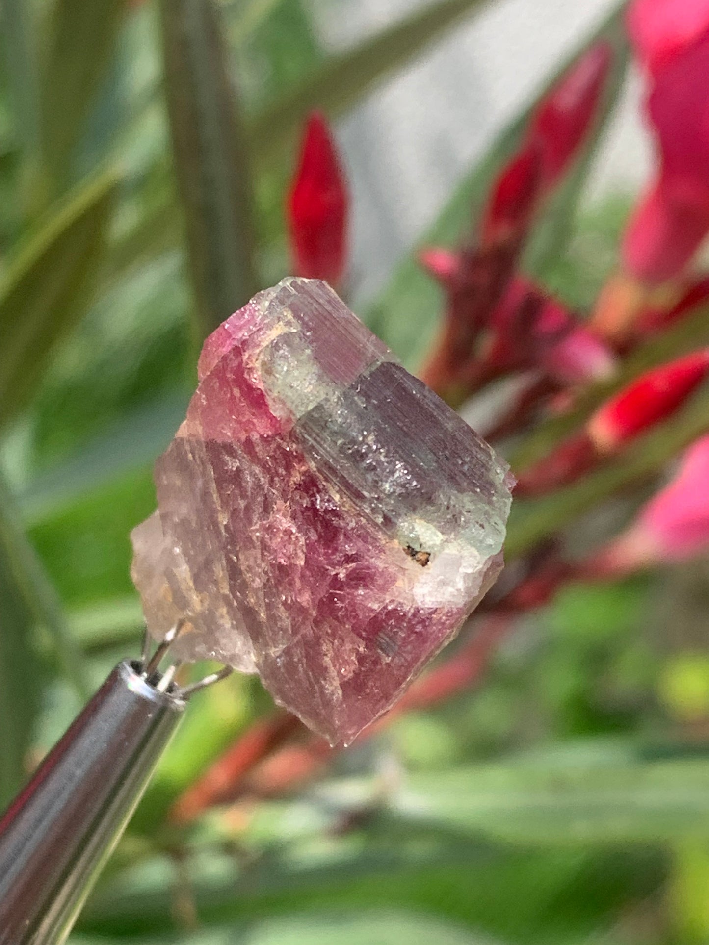 Tourmaline Rubellite, 24 x 20 x 13mm - 7,3 grammes. Une belle pièce naturelle !