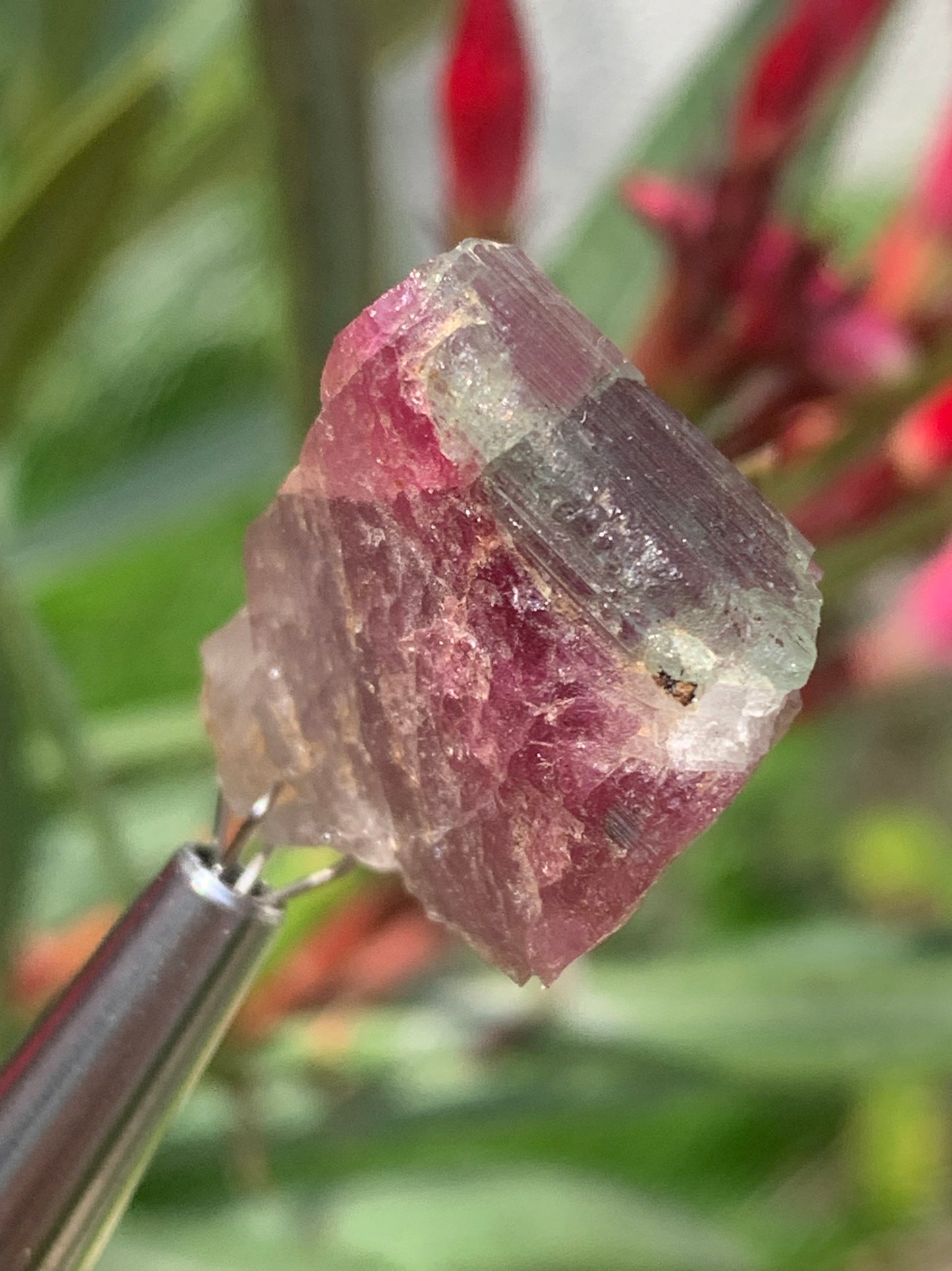 Tourmaline Rubellite, 24 x 20 x 13mm - 7,3 grammes. Une belle pièce naturelle !