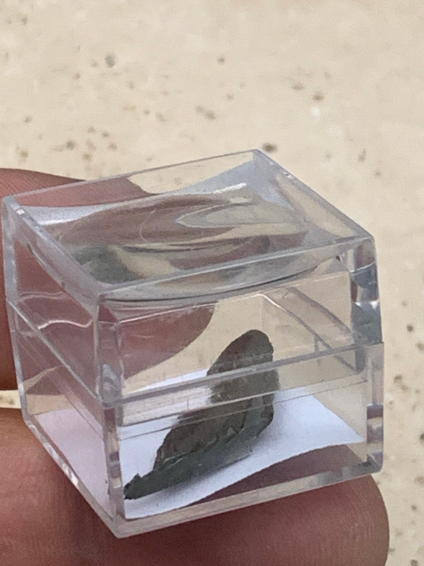Météorite 'Muonionalusta' de 30 x 10 x 3mm - 2 grammes. Vendu avec coffret 'loupe' !